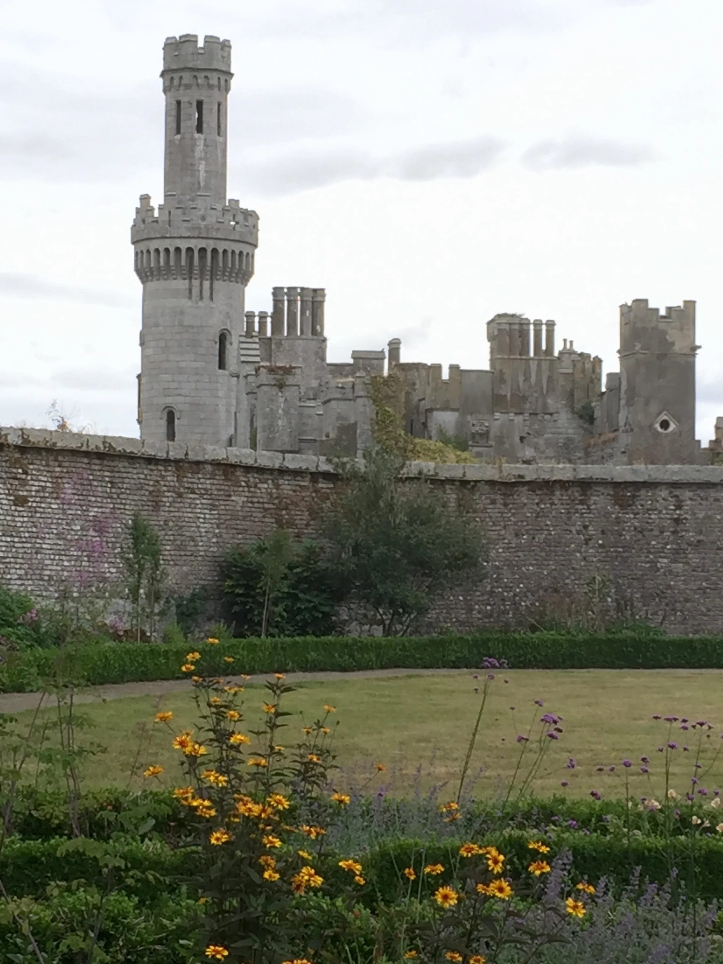 Walled Gardens - Ducketts Grove ruin from garden.jpg