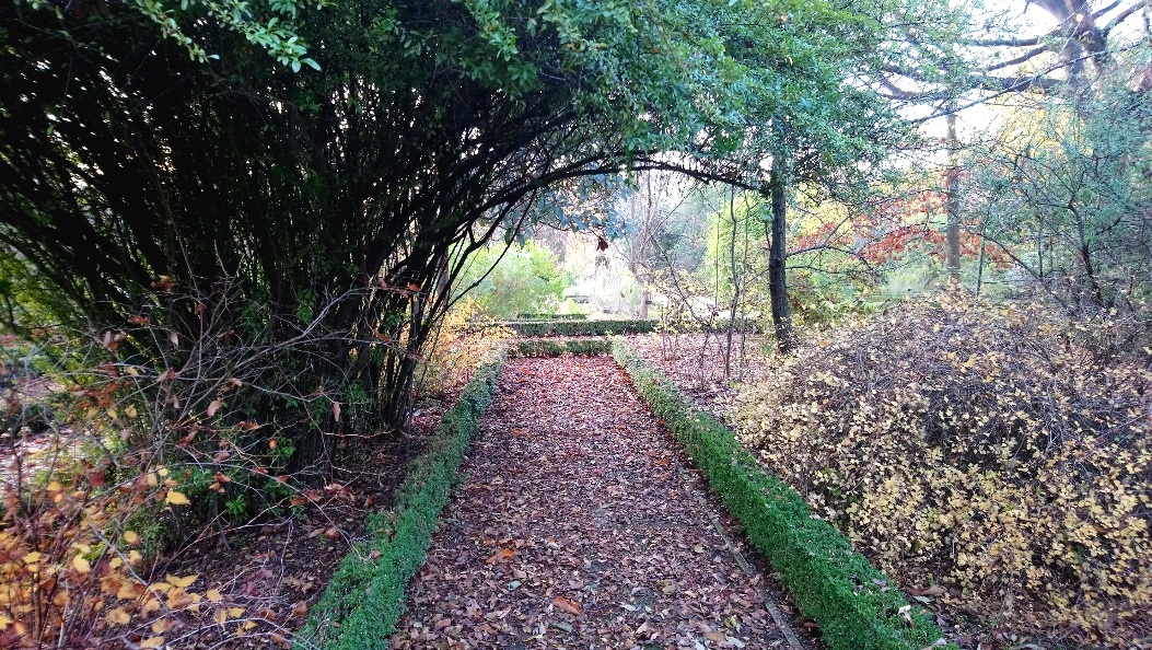 Path+to+the+Neglected+Garden+-+Suzanne+Winterly.jpg