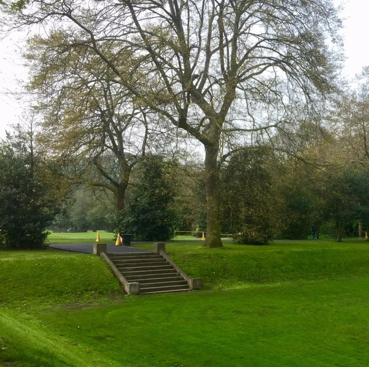 Iveagh Gardens - Lawn.jpg