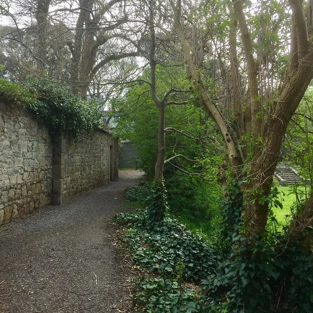 Iveagh Gardens - Path.jpg