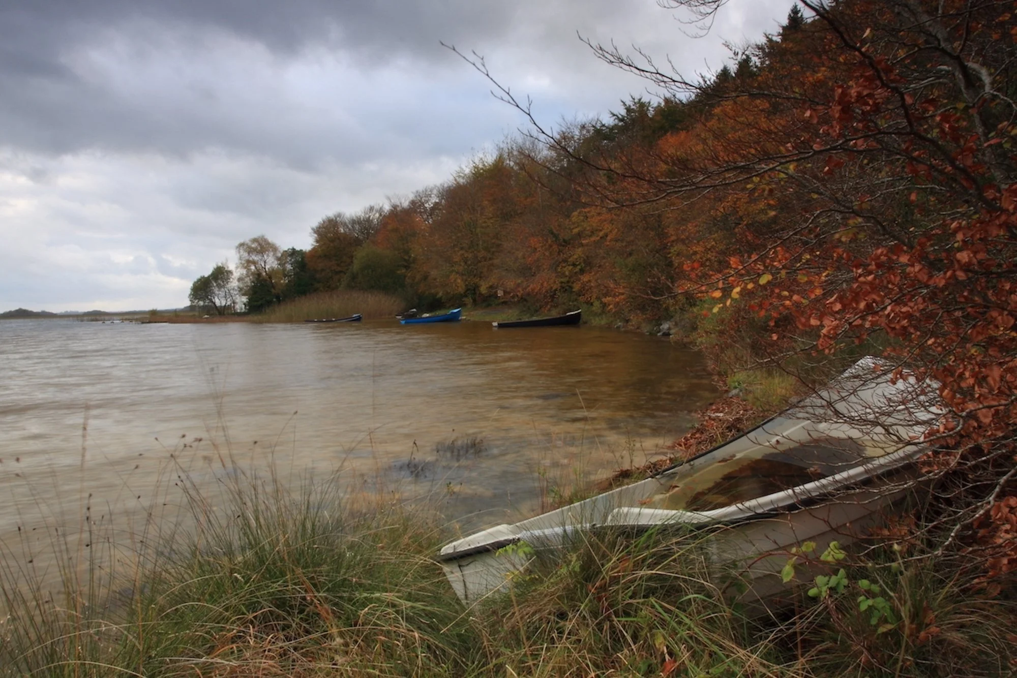 Moore Hall lake - old boat - SMALL.jpeg