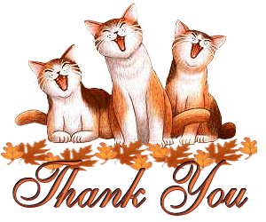 Thank you .gif