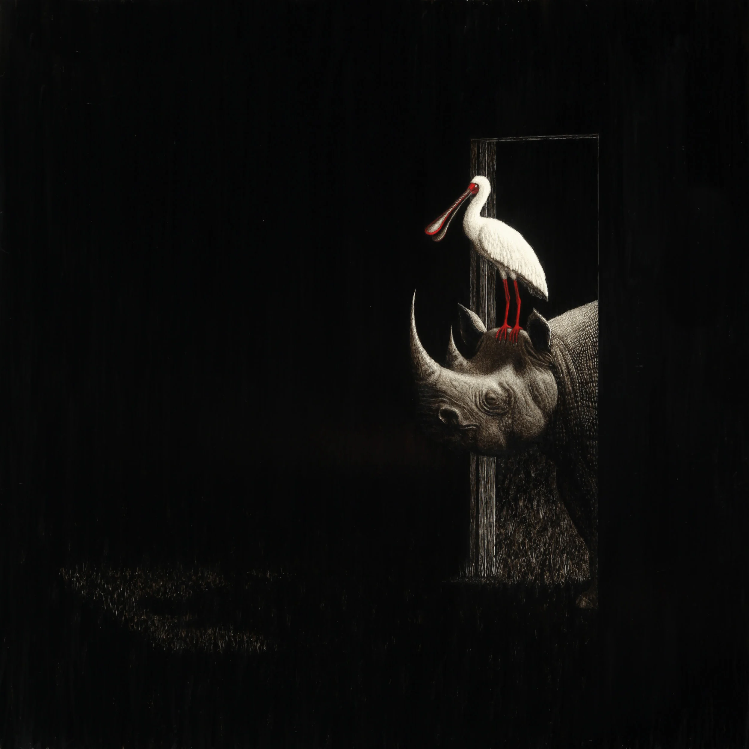 Rare Birds Encaustic on Panel 24" x 24" / sold