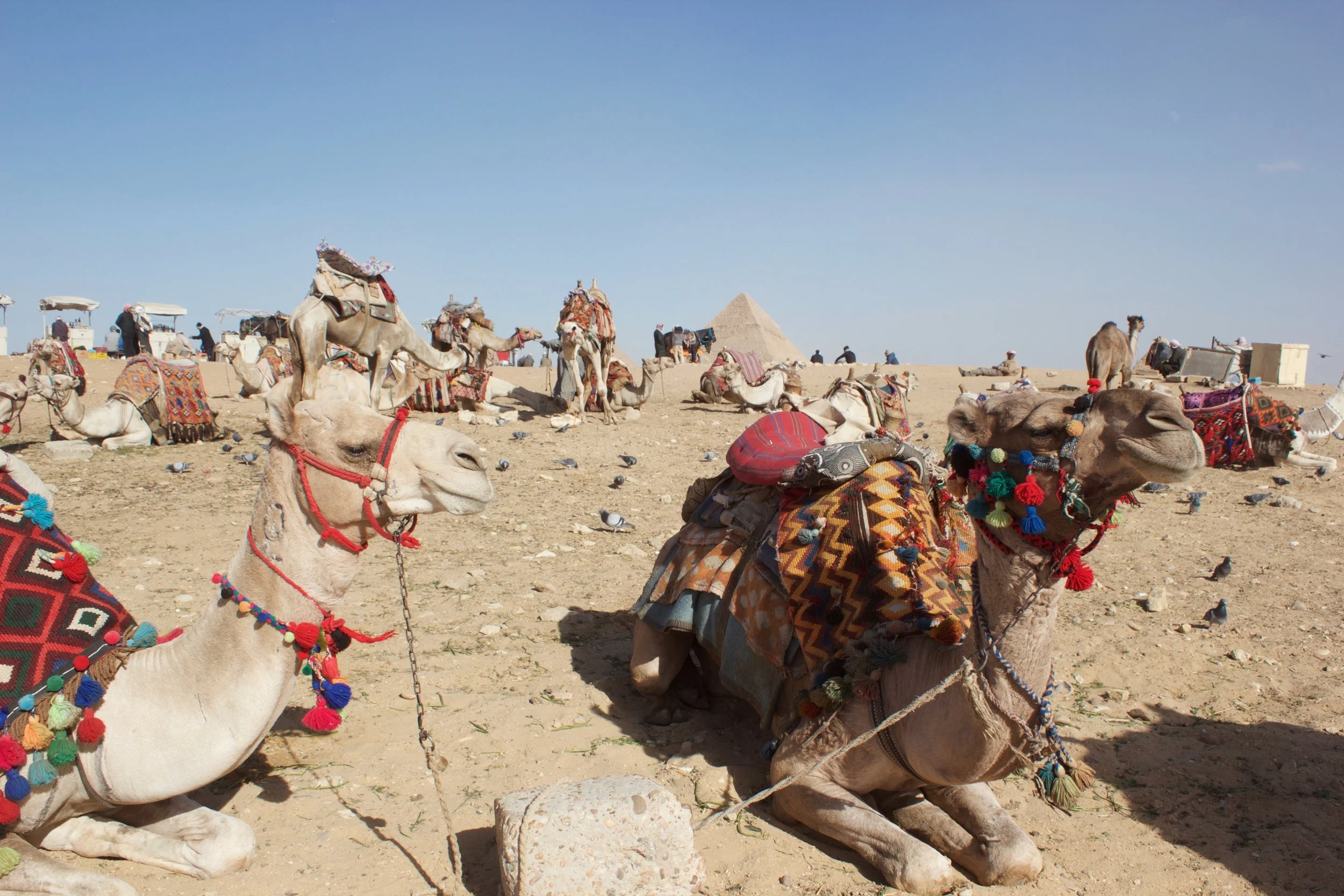  GREAT PYRAMID OF GIZA 