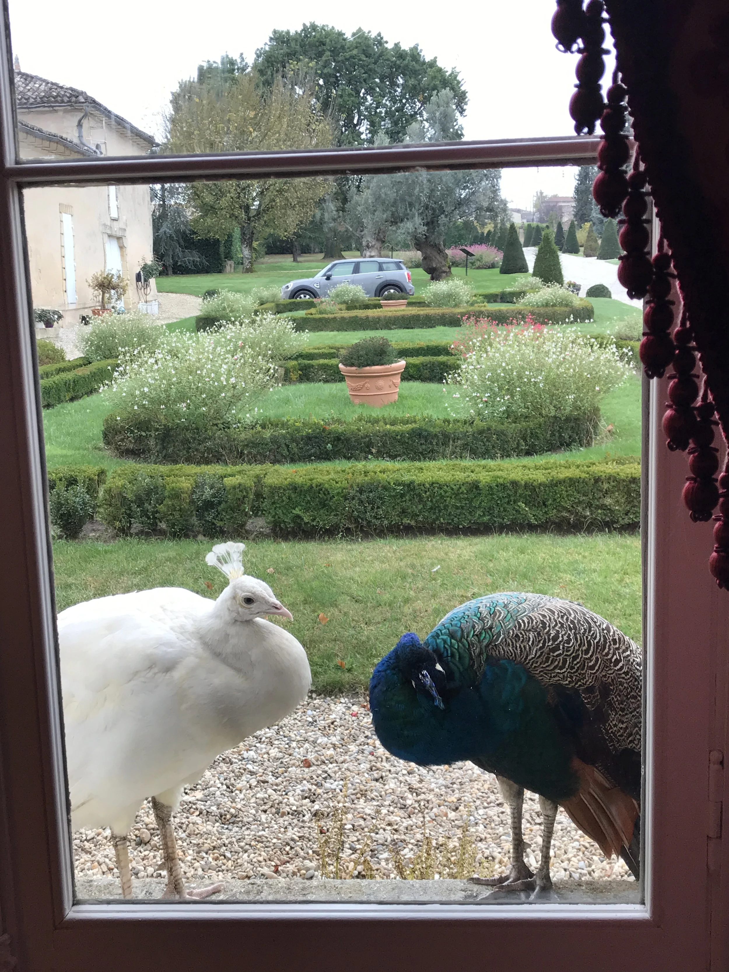 11.15.17 Download 1818.JPG