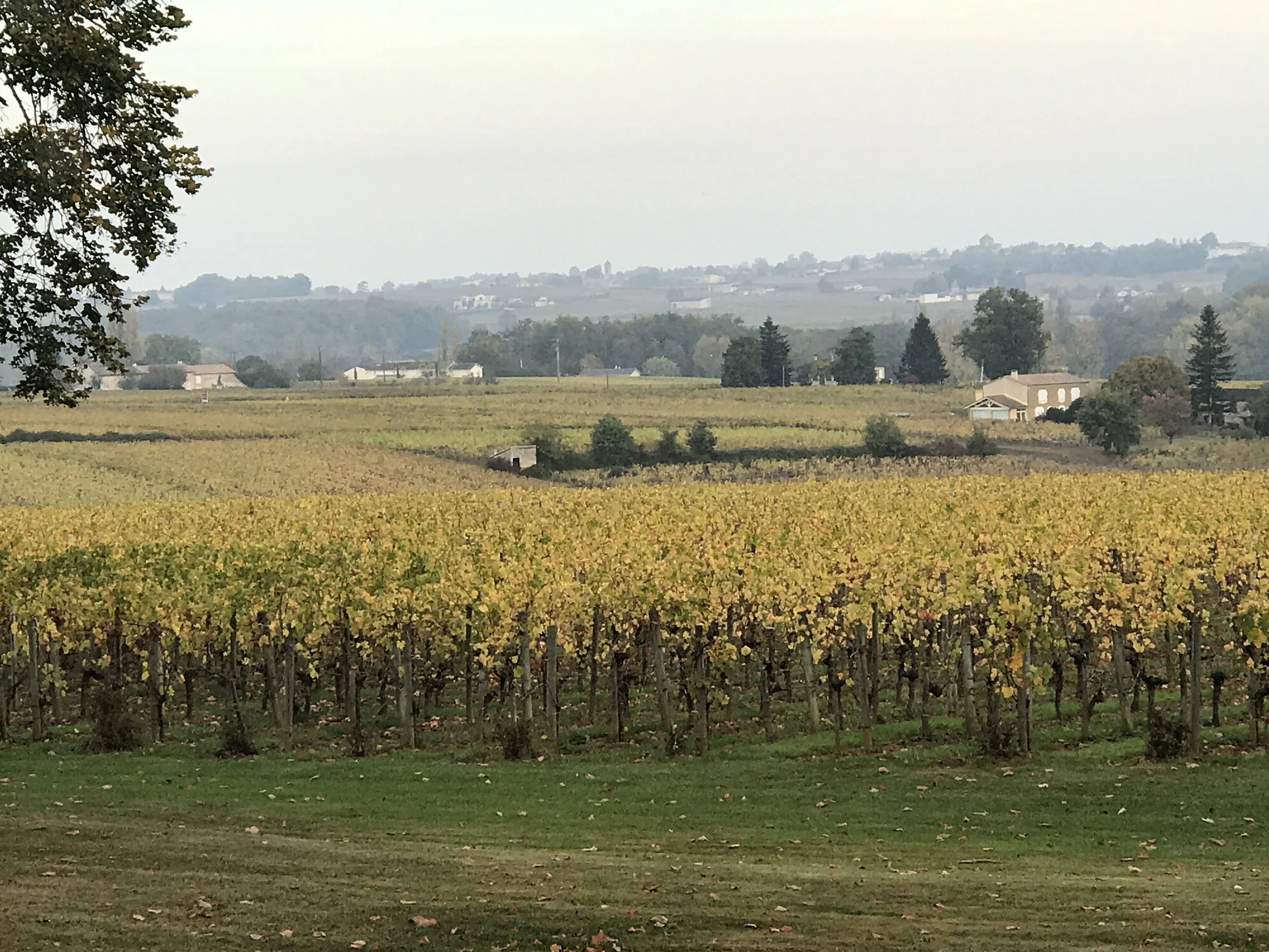 11.15.17 Download 2225.JPG