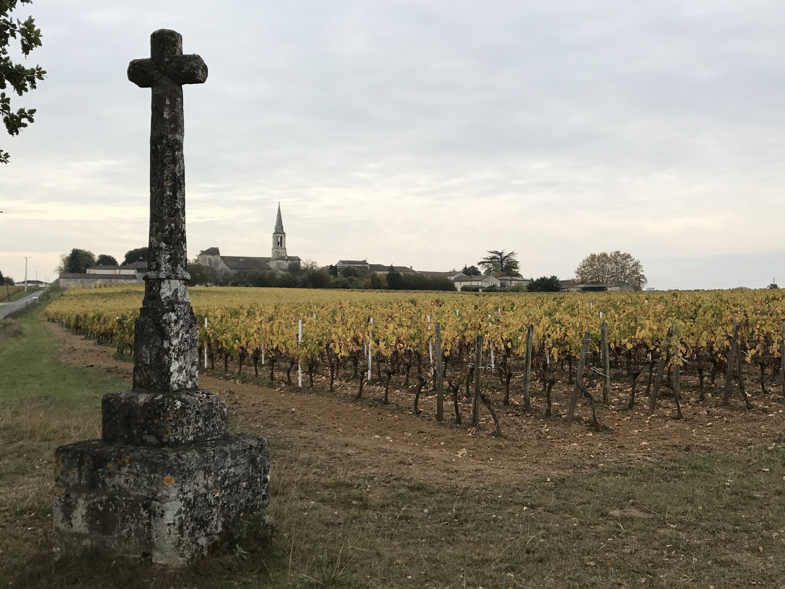 11.15.17 Download 2313.JPG