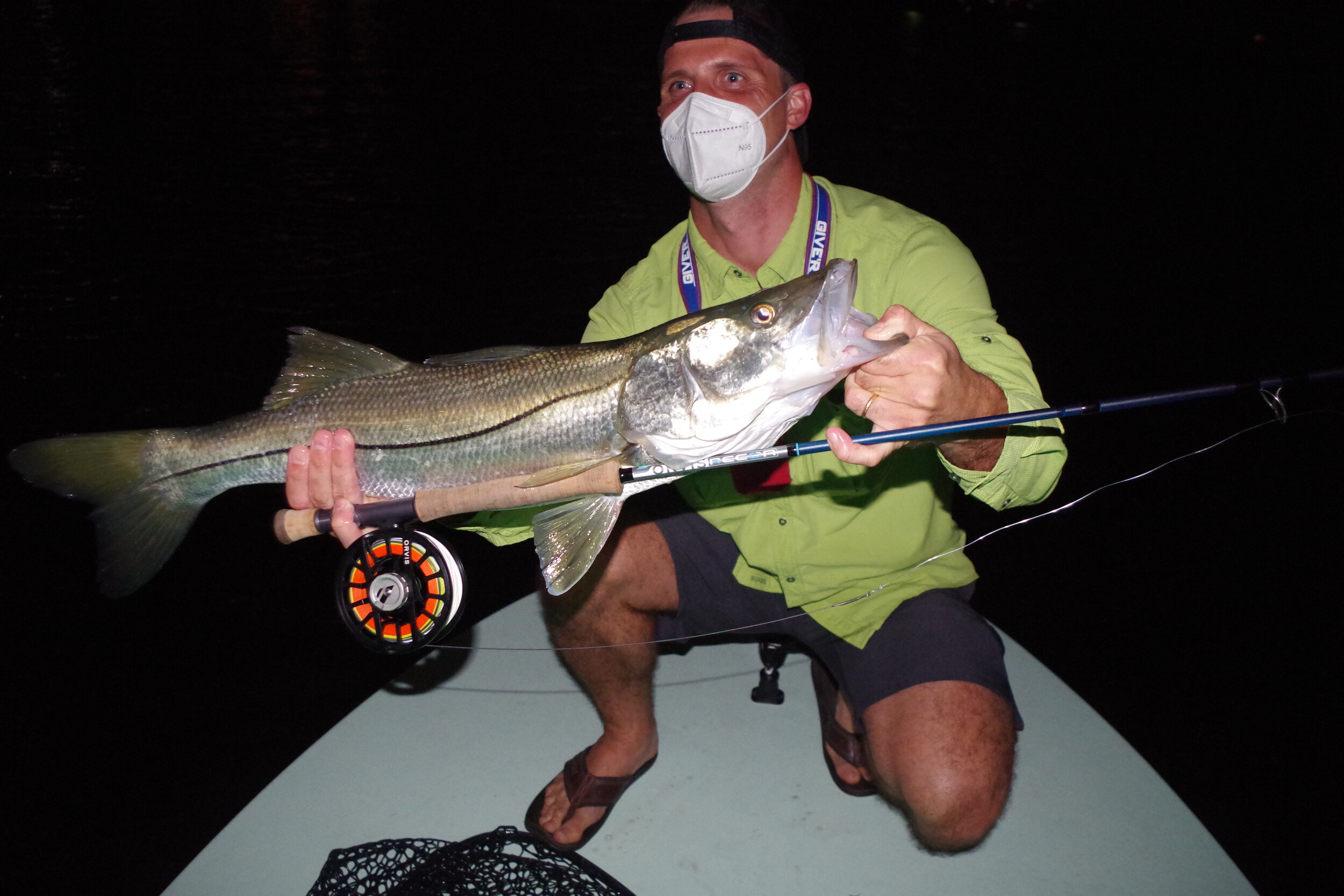 Snook on fly