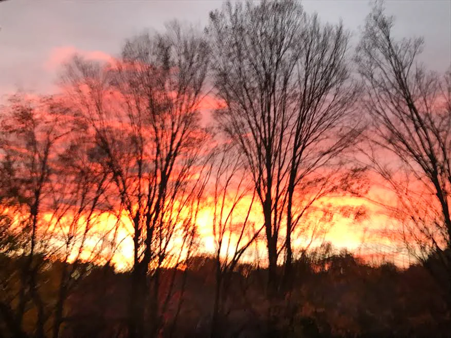 39 sunset .jpg