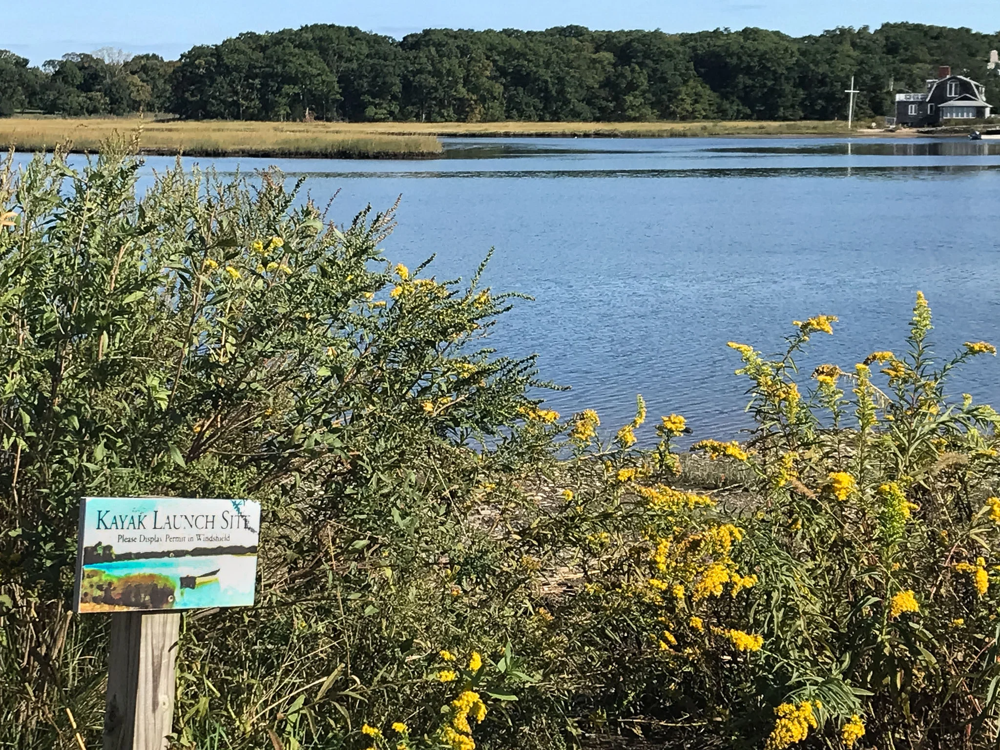 24a mill pond kayak .jpg