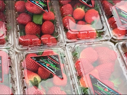 Strawberry Fundraiser
