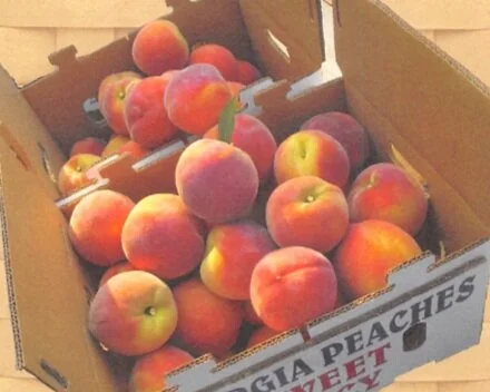 Peaches Fundraiser - Limited Time - Online Orders Only