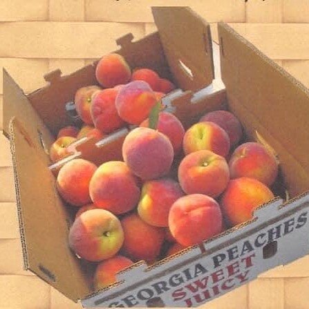 Monday August 3rd is the last day to order peaches from the Munford Band!  Go to MunfordBand.com and click on our STORE to order online.  They are $26 for a box of beautiful, sweet Georgia peaches! 
Delivery date is Friday, August 7th. (Check in late