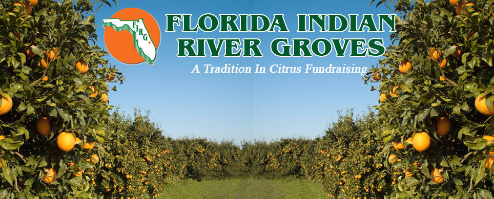 Citrus Fundraiser 50/50 Split