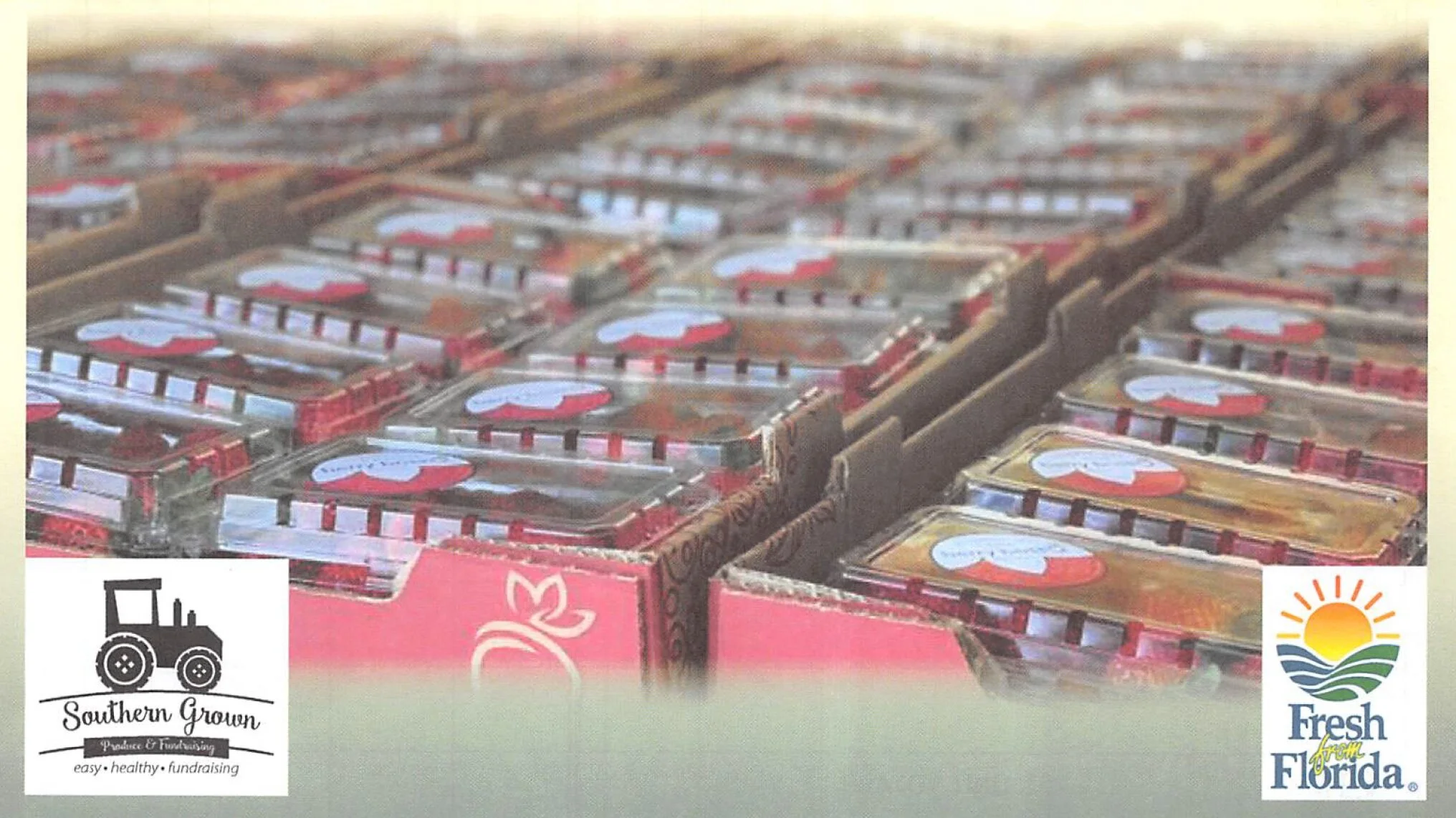 Strawberries Fundraiser 2026 - 50/50 Split!