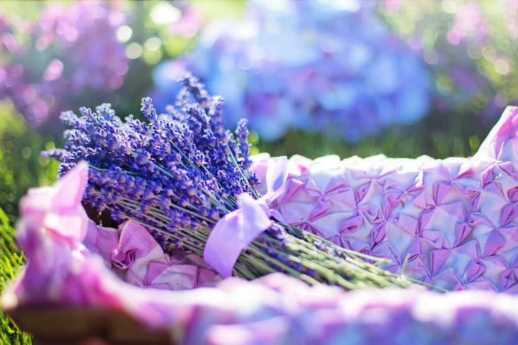 soul purple flowers.jpeg