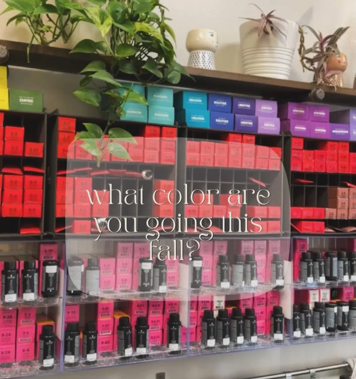 The question that we love&hellip; so, what color? 

Drop it down below!