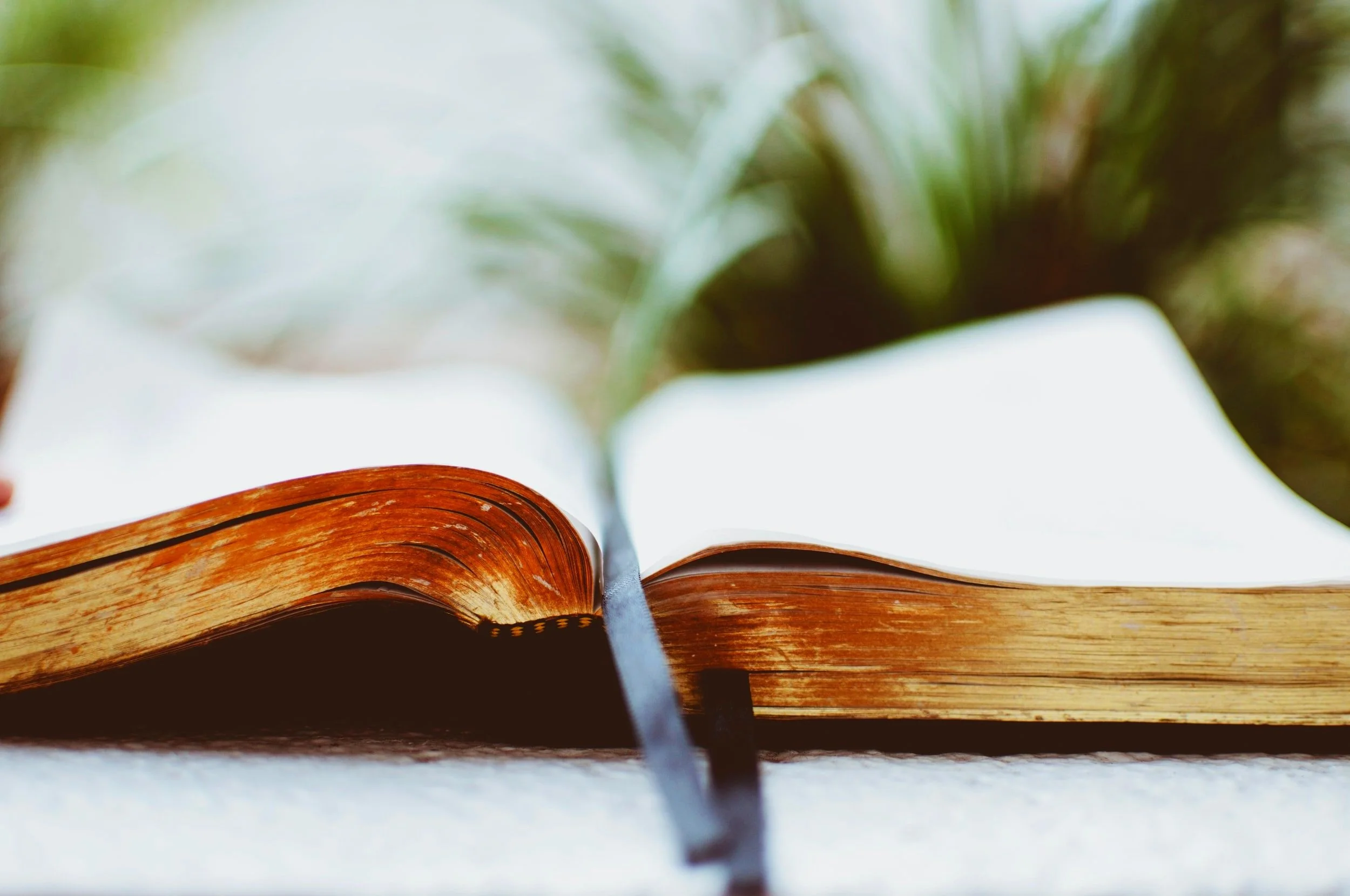 Day 6: God’s Purpose Cannot Be Thwarted 