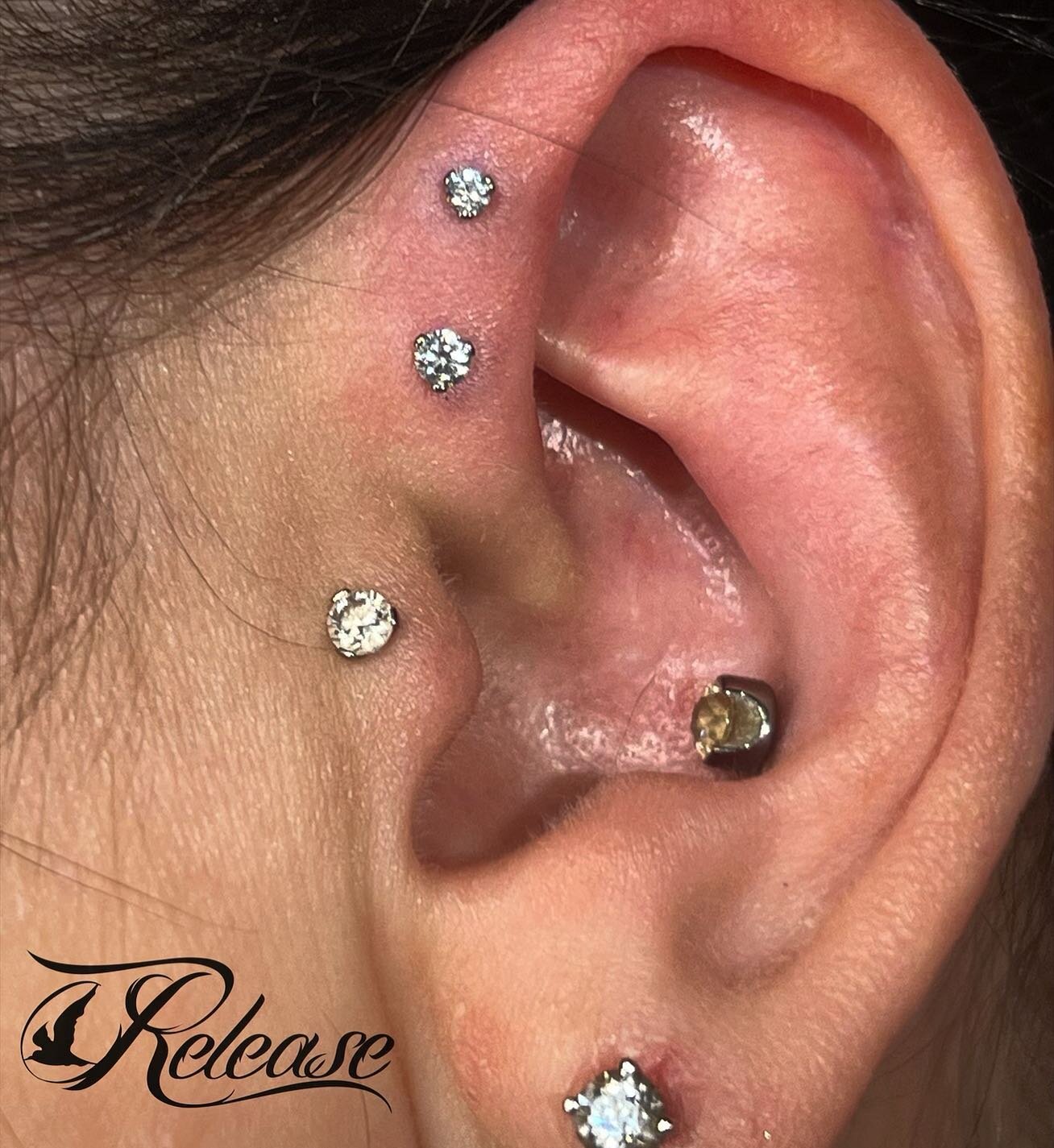 Fresh double #ForwardHelixPiercing done by @steeve.easley with prong set CZs &amp; implant grade titanium components from @industrialstrength 
If you&rsquo;re in the market for multiple piercings, don&rsquo;t forget we offer a BOGO special on piercin