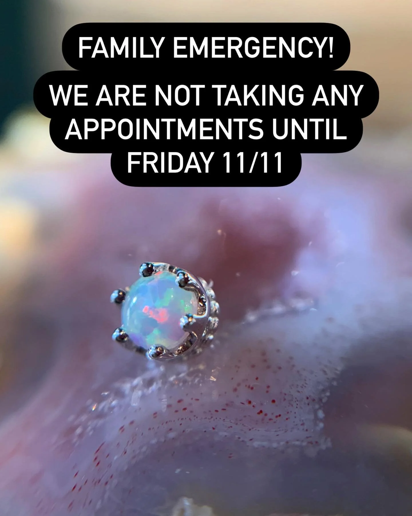 release-body-modification