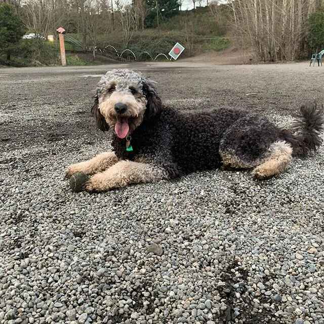 Making fetch happen since 03/10/2020