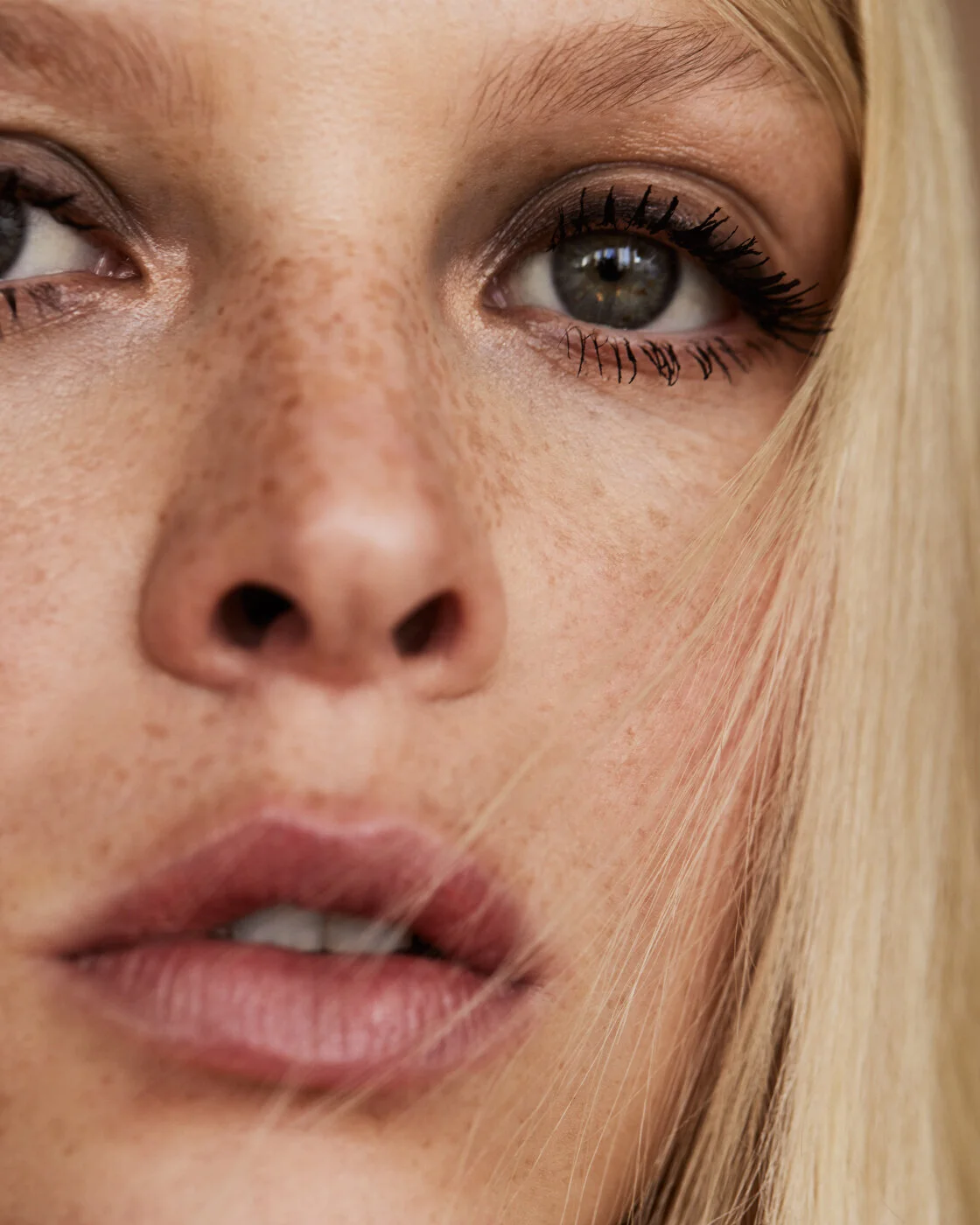 SPECIAL PROJECT - DANI WITT
