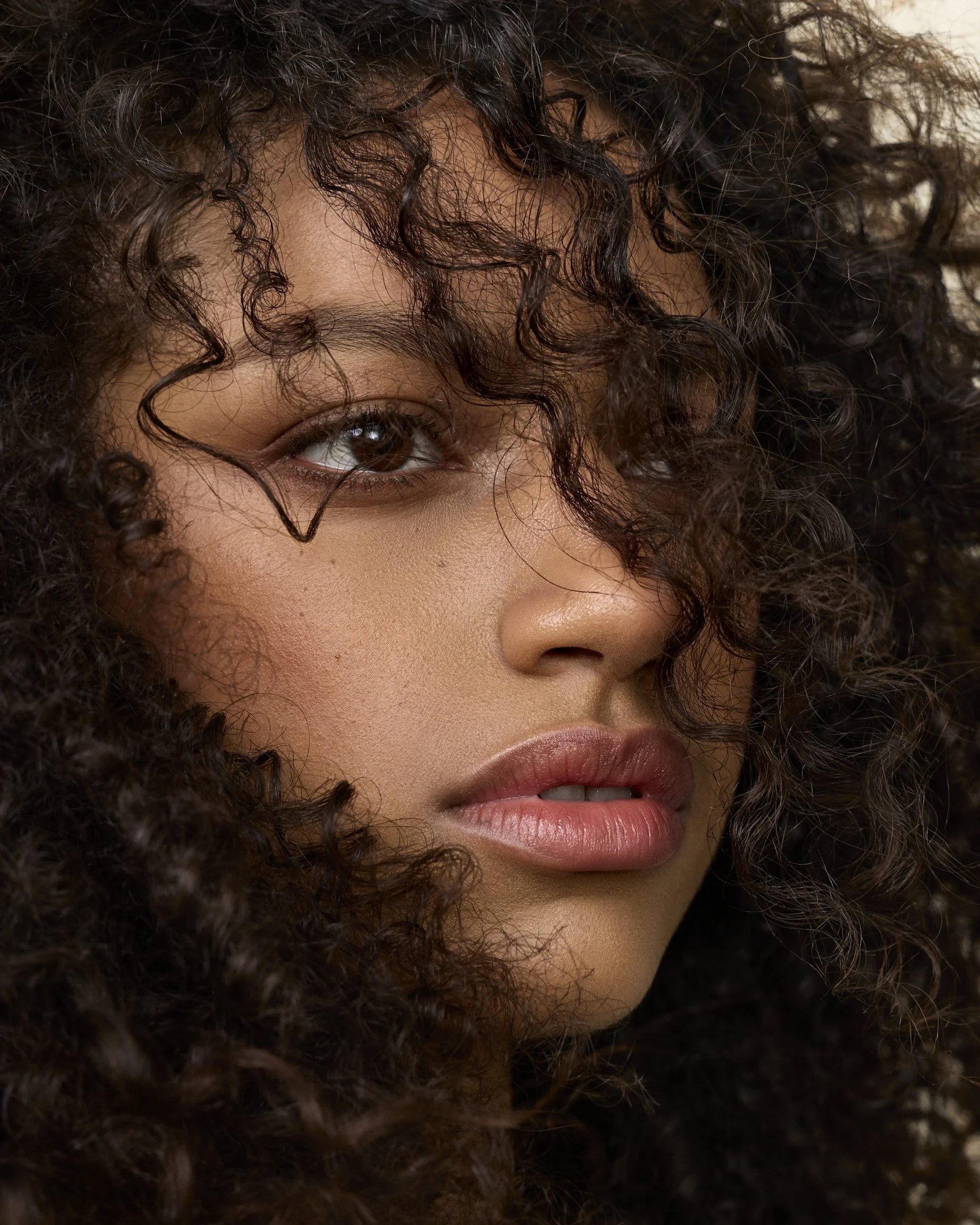 SPECIAL PROJECT X ISA