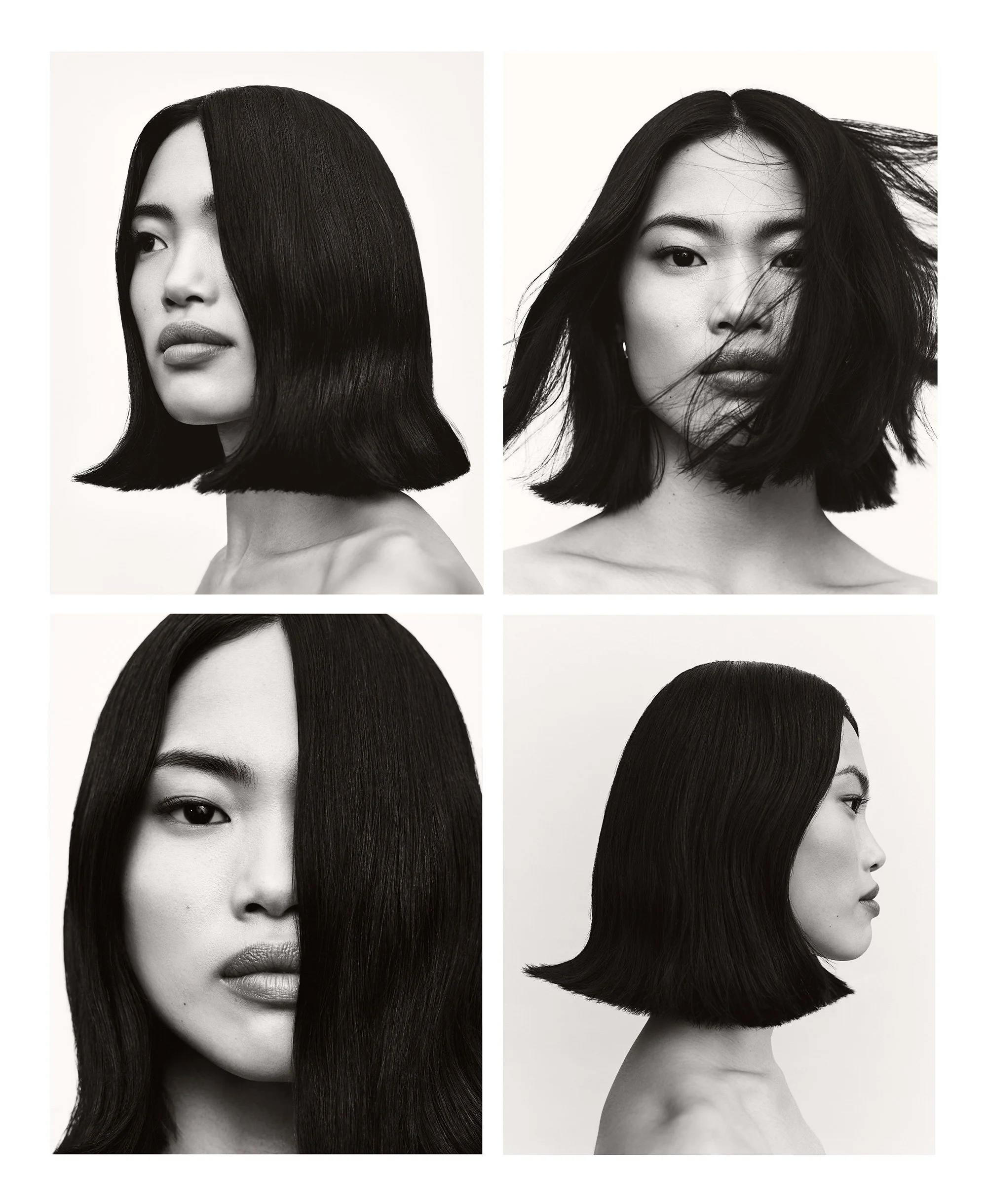 SPECIAL PROJECT X BRIE