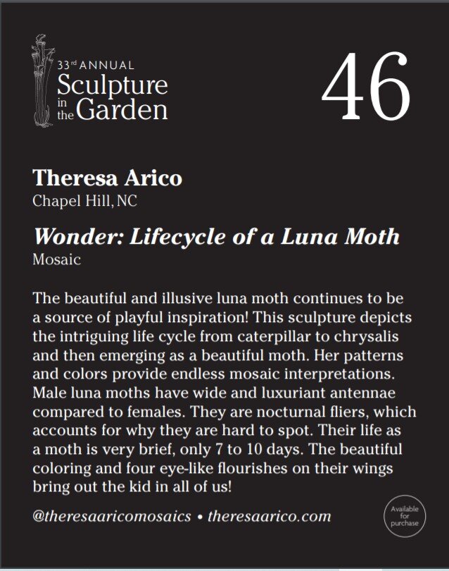 Wonder-Lifecycle of Luna Moth placcard.jpg