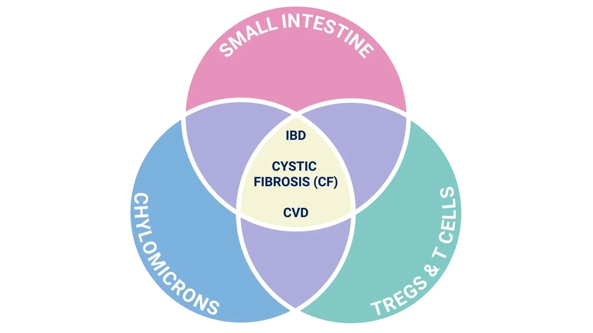 kohanlab website update 02-04-26.jpg