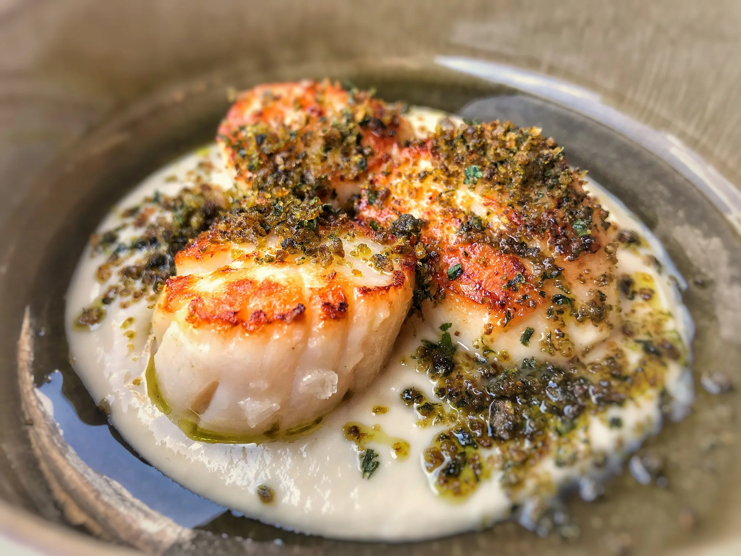 Scallops Starter - photo by Michael Radley.png