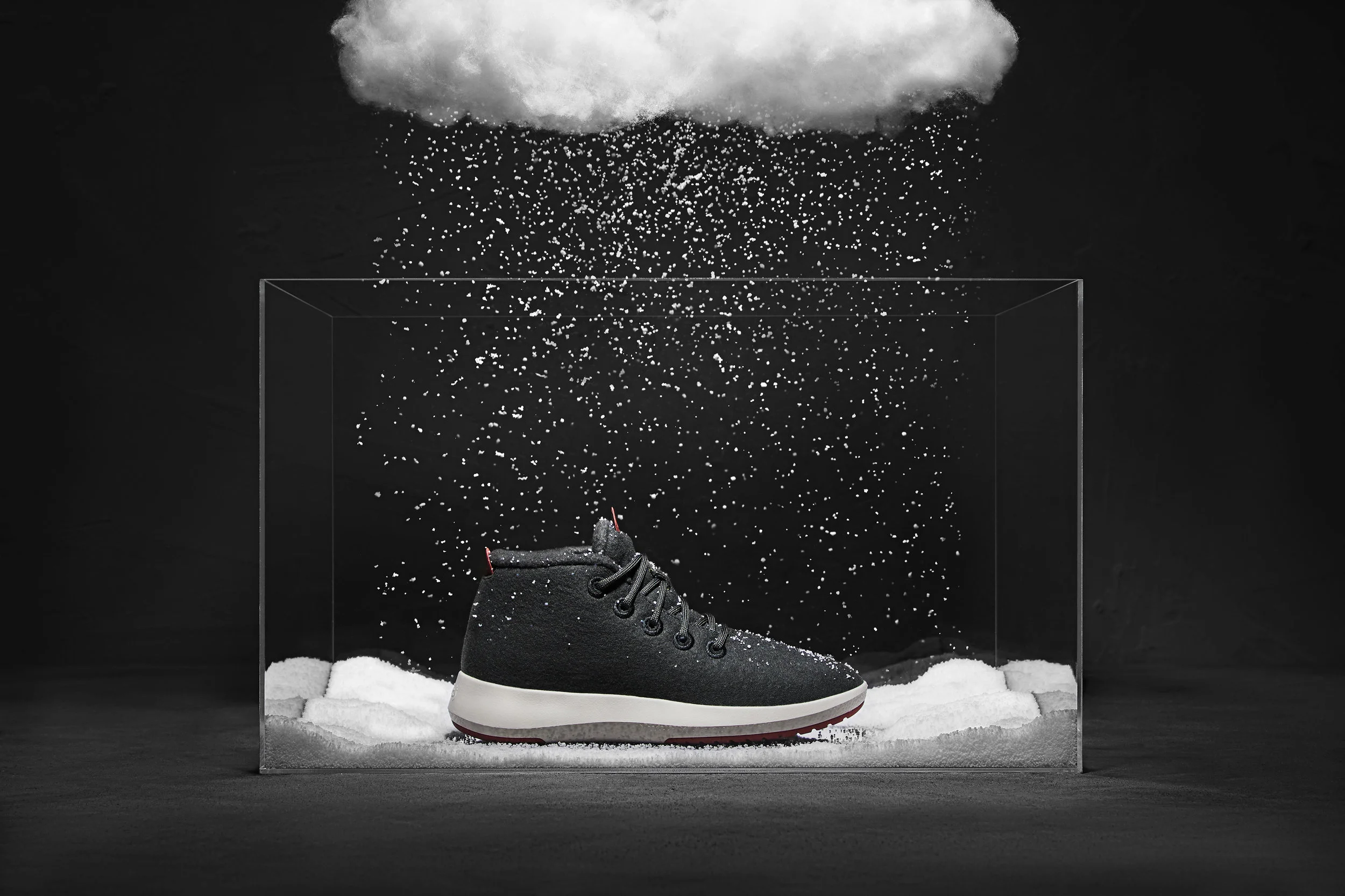 Allbirds autumn 2019 collection 