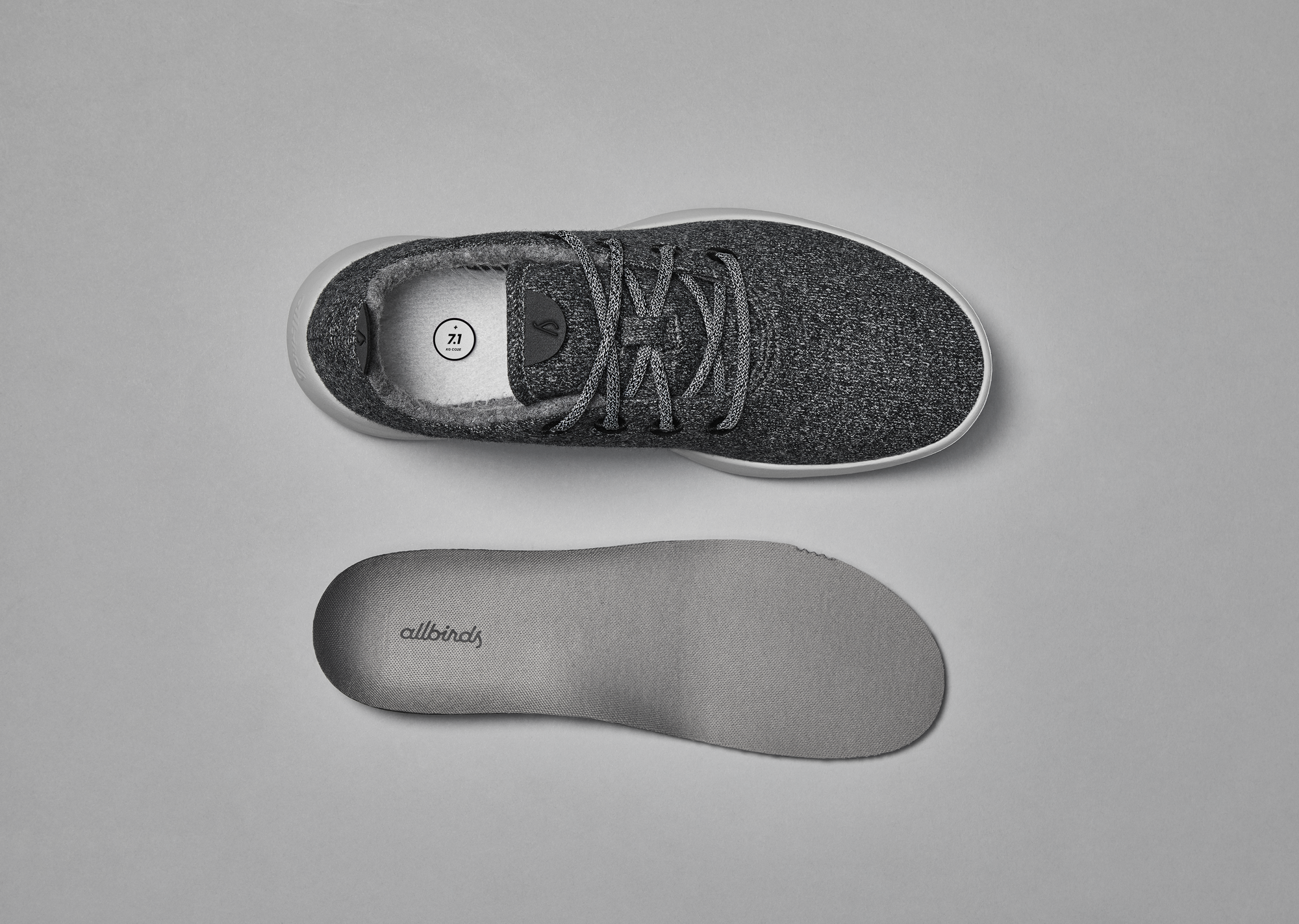 Allbirds labels every product with carbon footprint