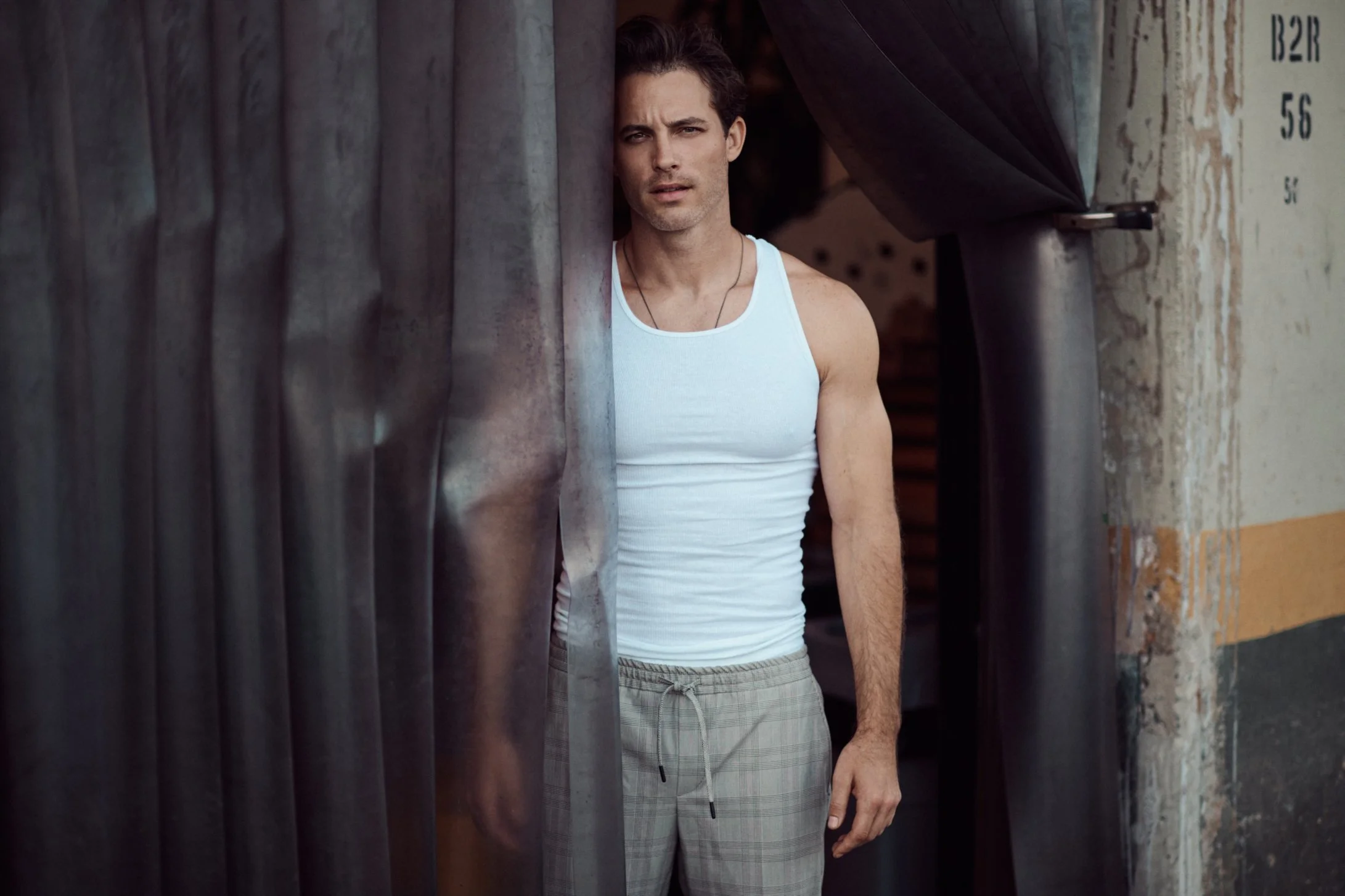 Everybody goes to Hollywood 