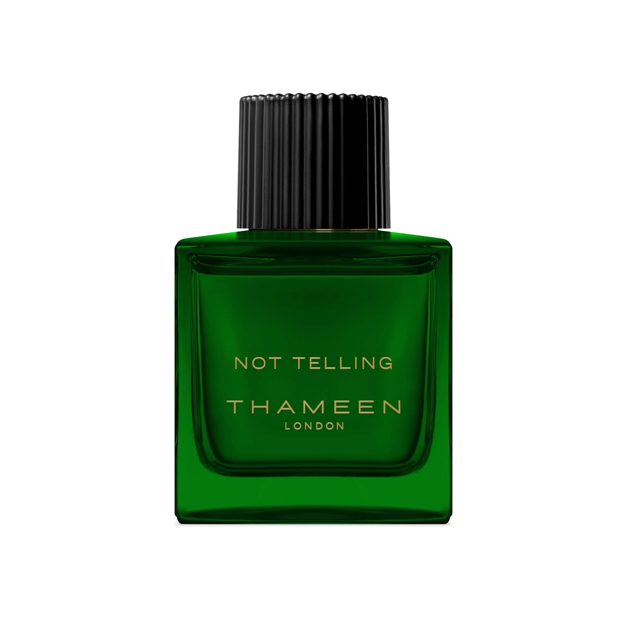 Thameen - Not Telling launch 
