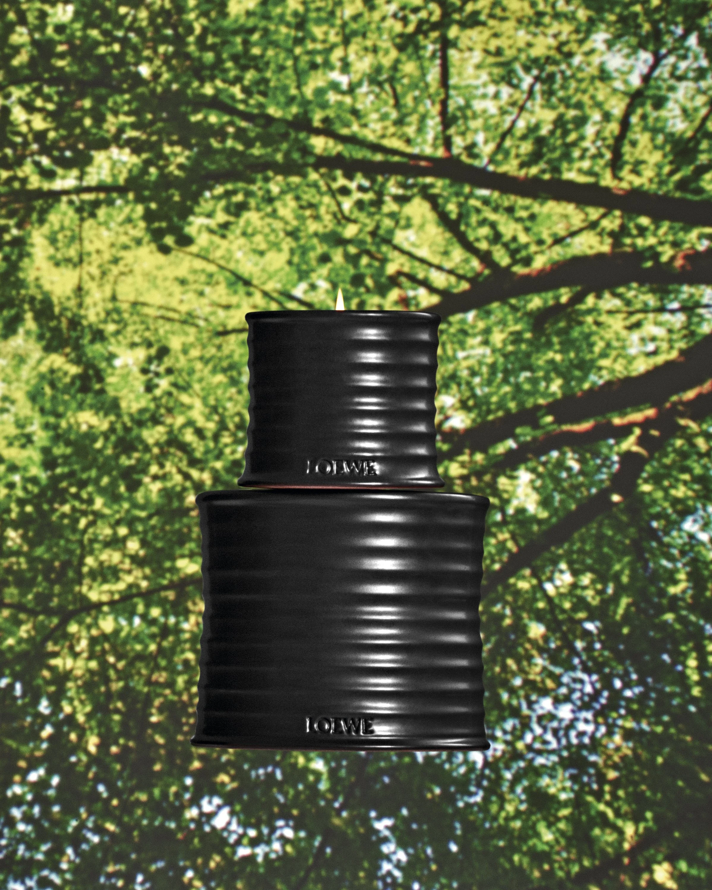 Loewe Palo Santp143366 .jpg
