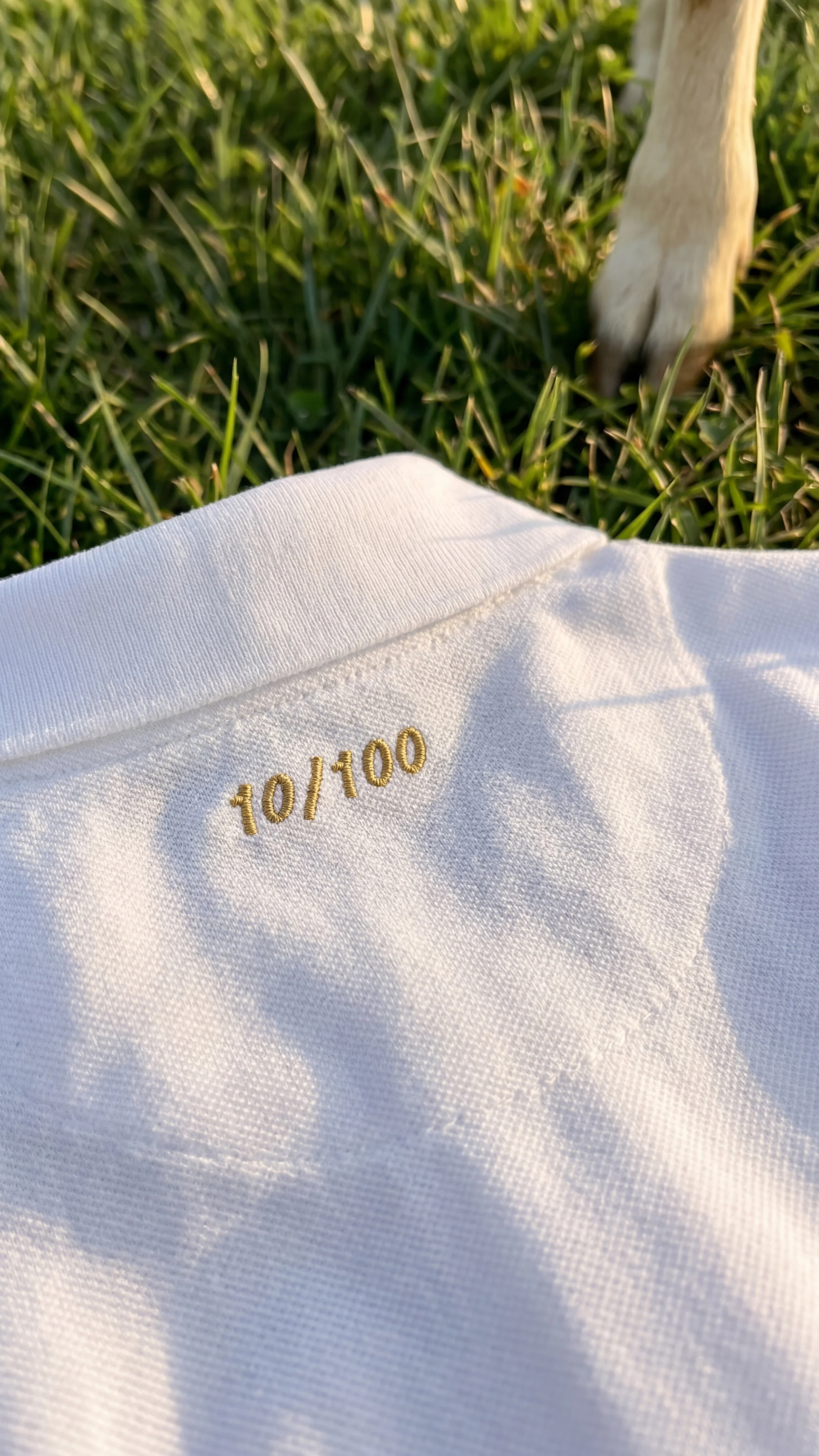 THEGOAT_GOLDENPOLO_BACK_916.jpg
