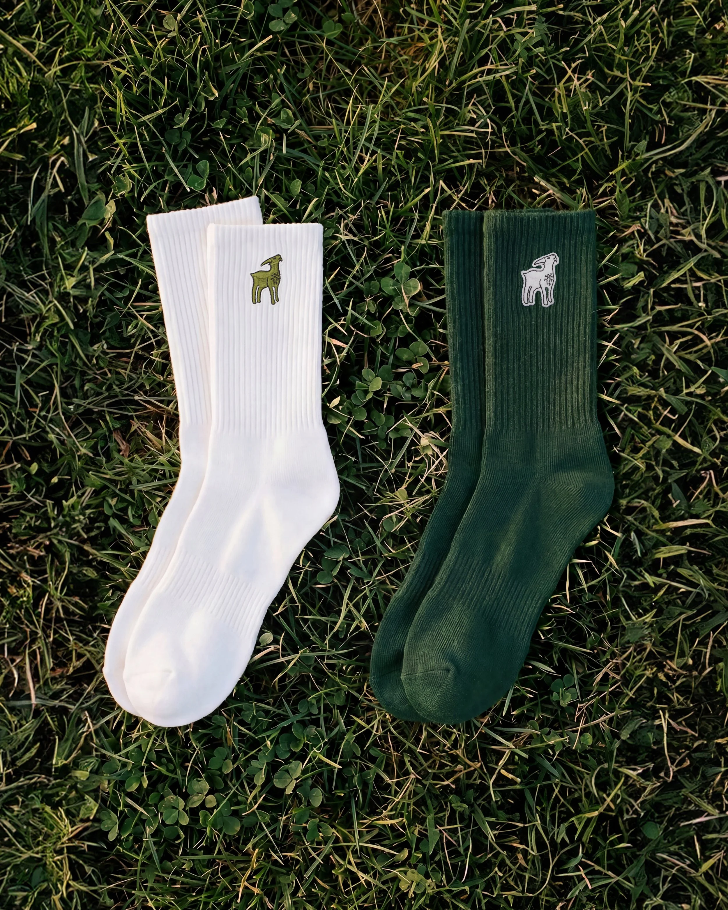 THEGOAT_SOCKS_45.jpg