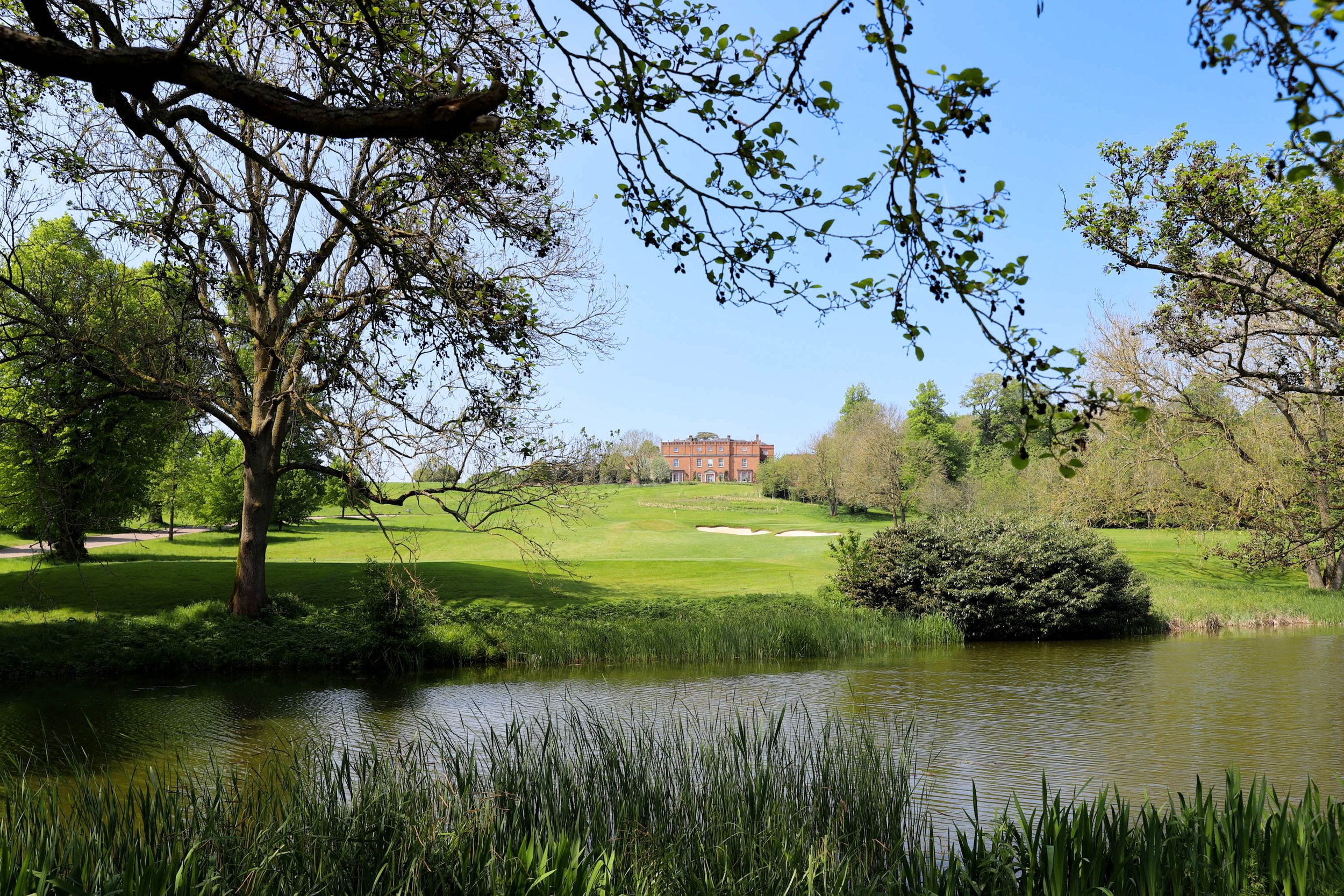 Mansion - No Golfer-5098.JPG