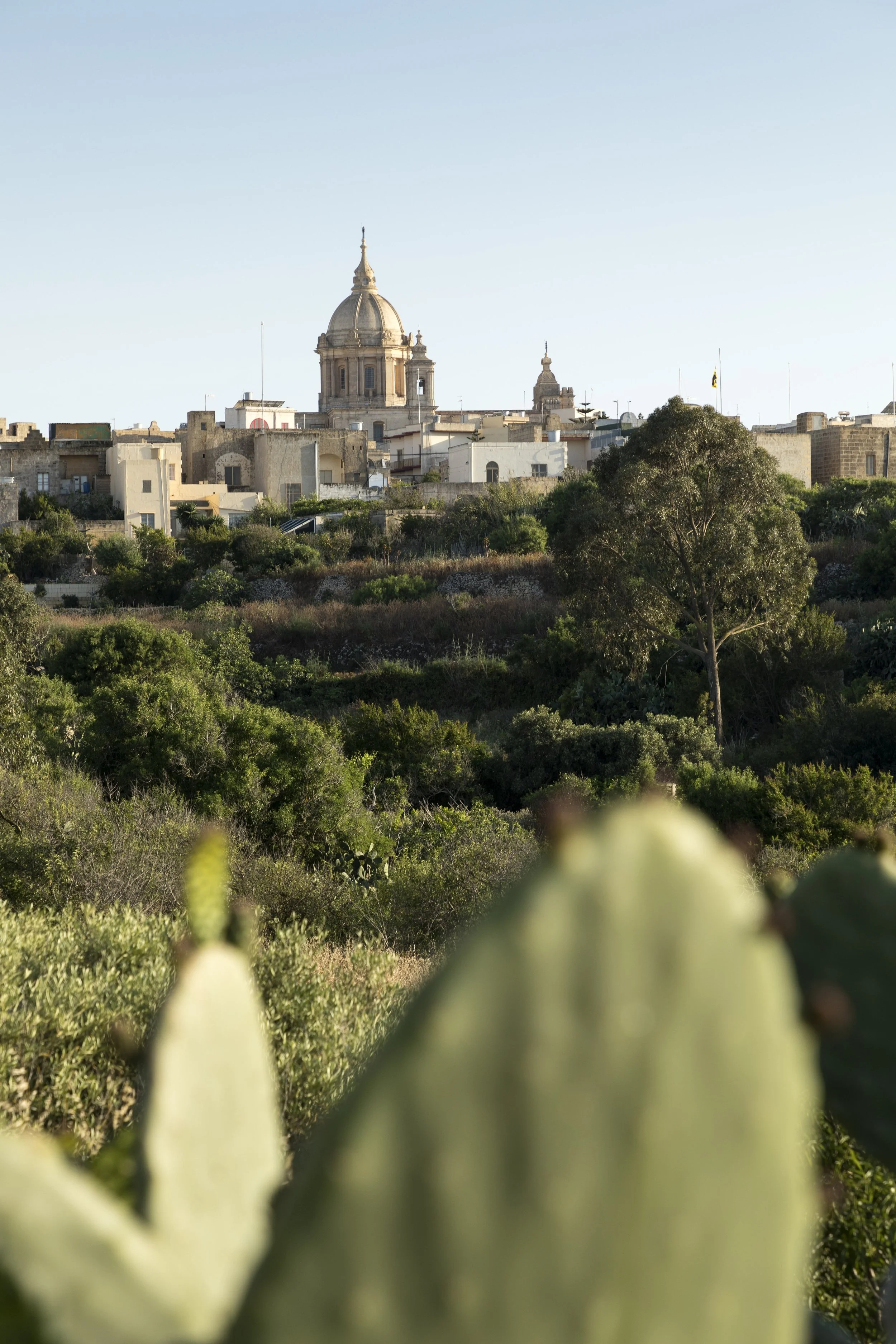 686328_Gerald_HAENEL_LAIF_REA_Malta.jpg