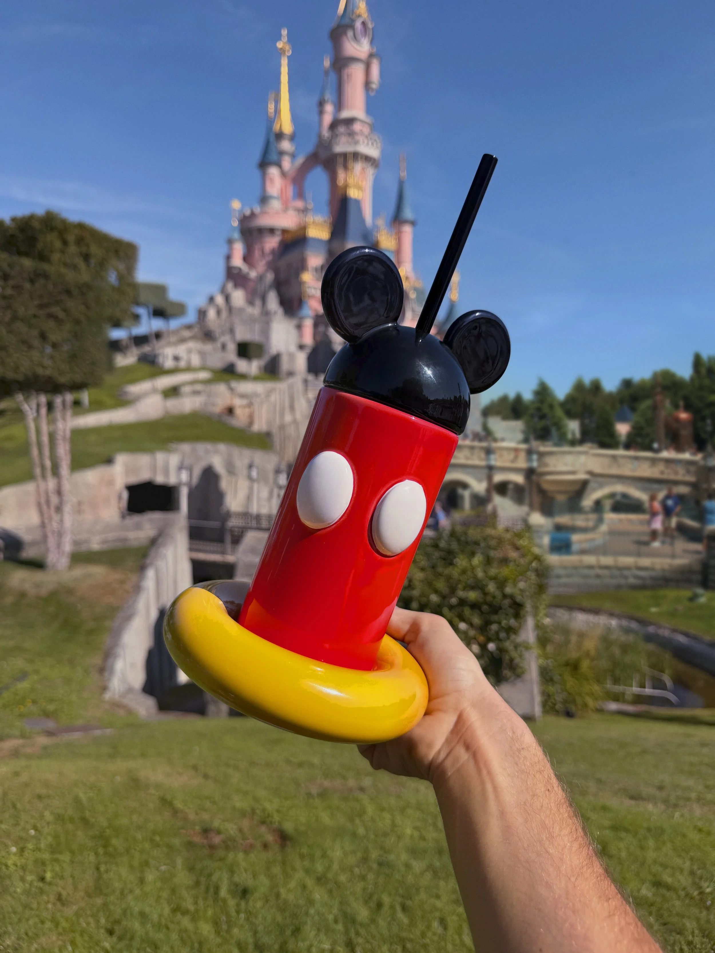 Mickey Tumbler at Disneyland Paris.jpg