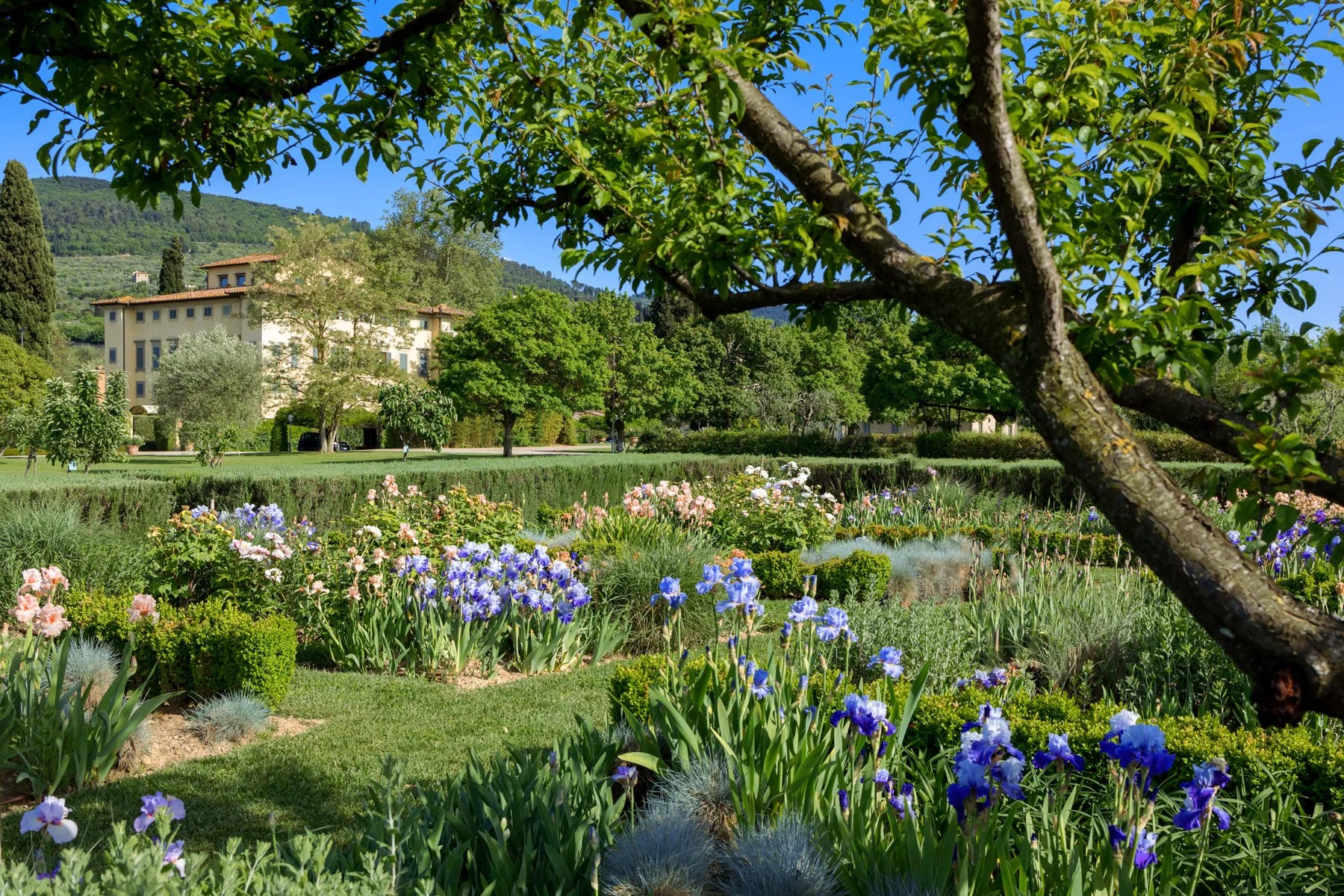 Villa La Massa - Iris Garden.jpg