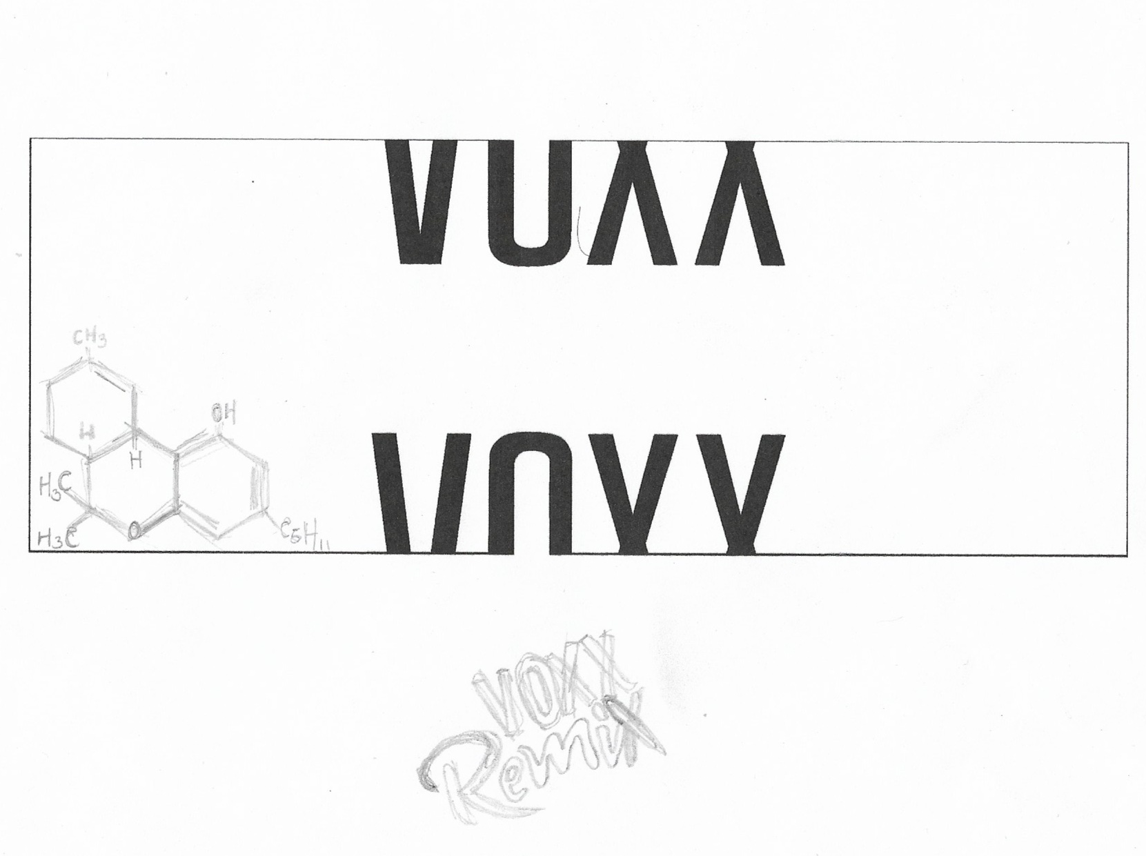 voxx sketch 4.jpg