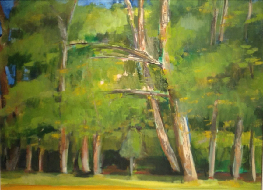   Oil on canvas, 17" by 23", Side yard 16 Bachus Road, Riders Mills.    Patrick Casey  (1952-2012)  b: 5/3/1952 Honolulu HA   Kapiolani Queens Hospital ,(Birth Hospital - Barack Obama)   1974  BA Degree Portland Museum Art School   1975  Founding Boa