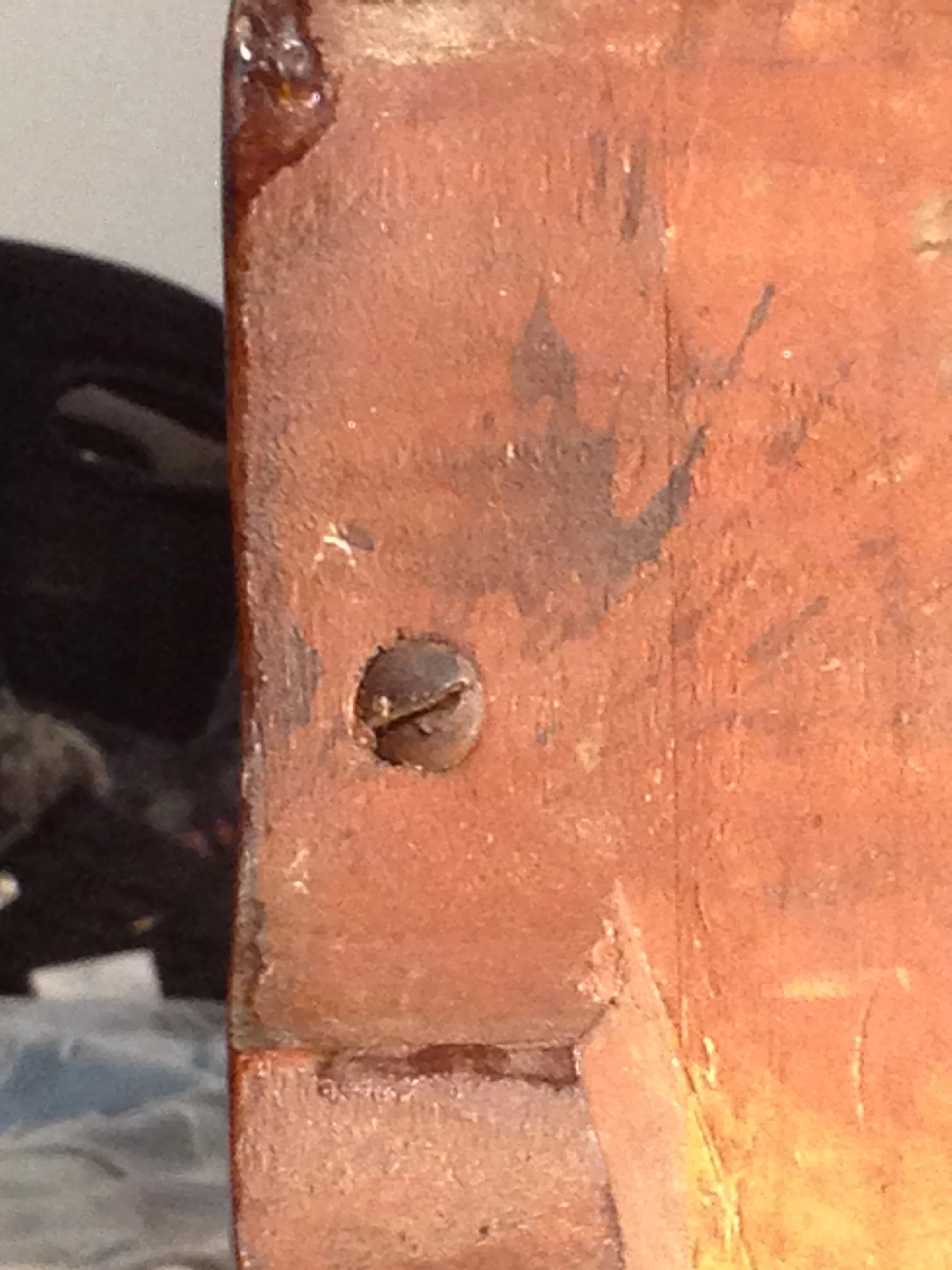 Screw (round head) used to attach foot bracket