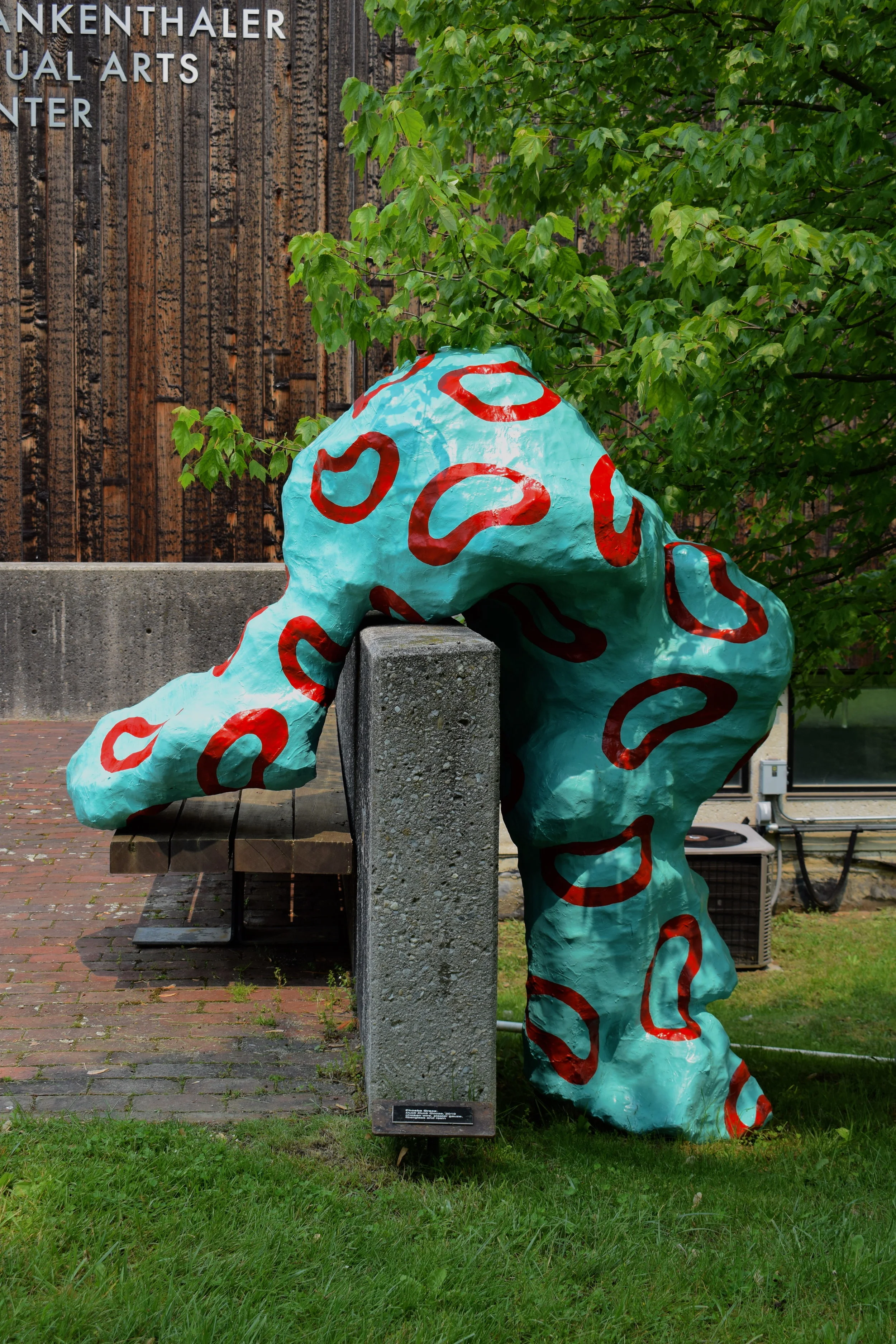 DSC_0596.JPG