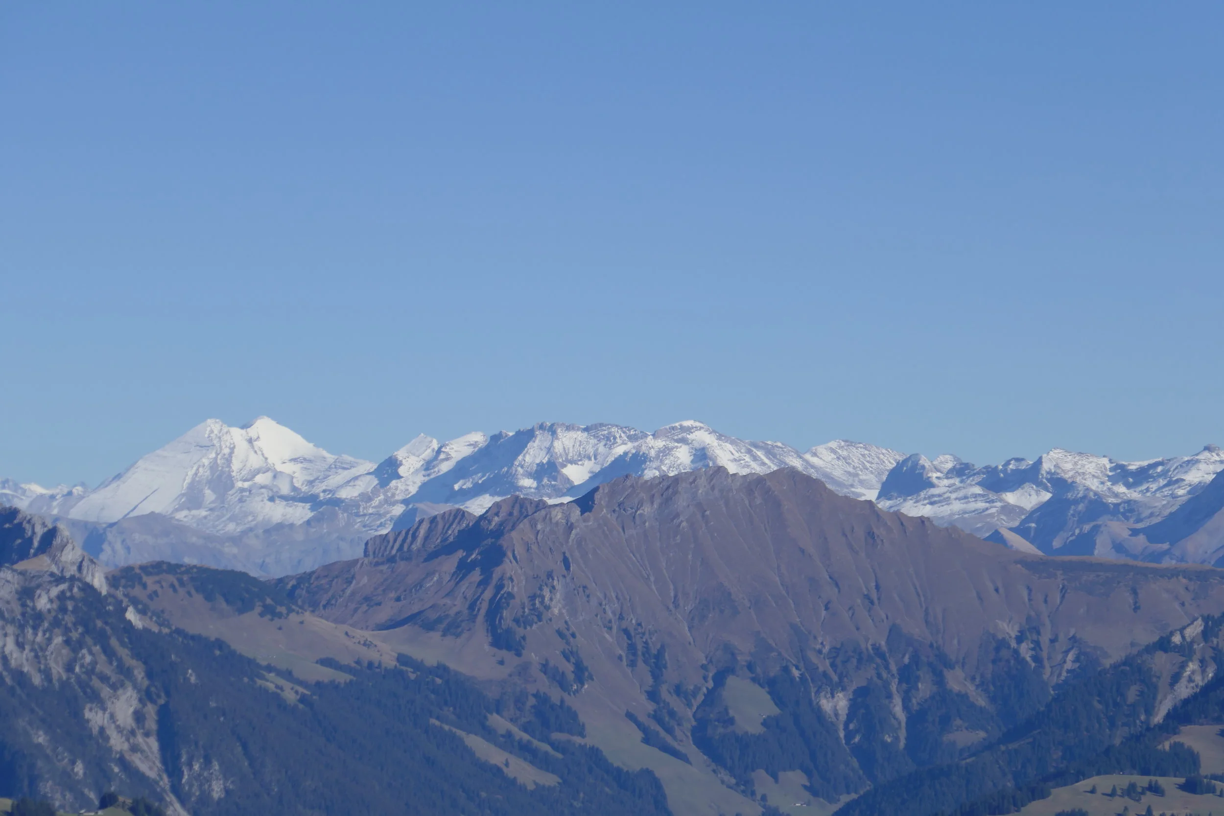 P1000320.JPG