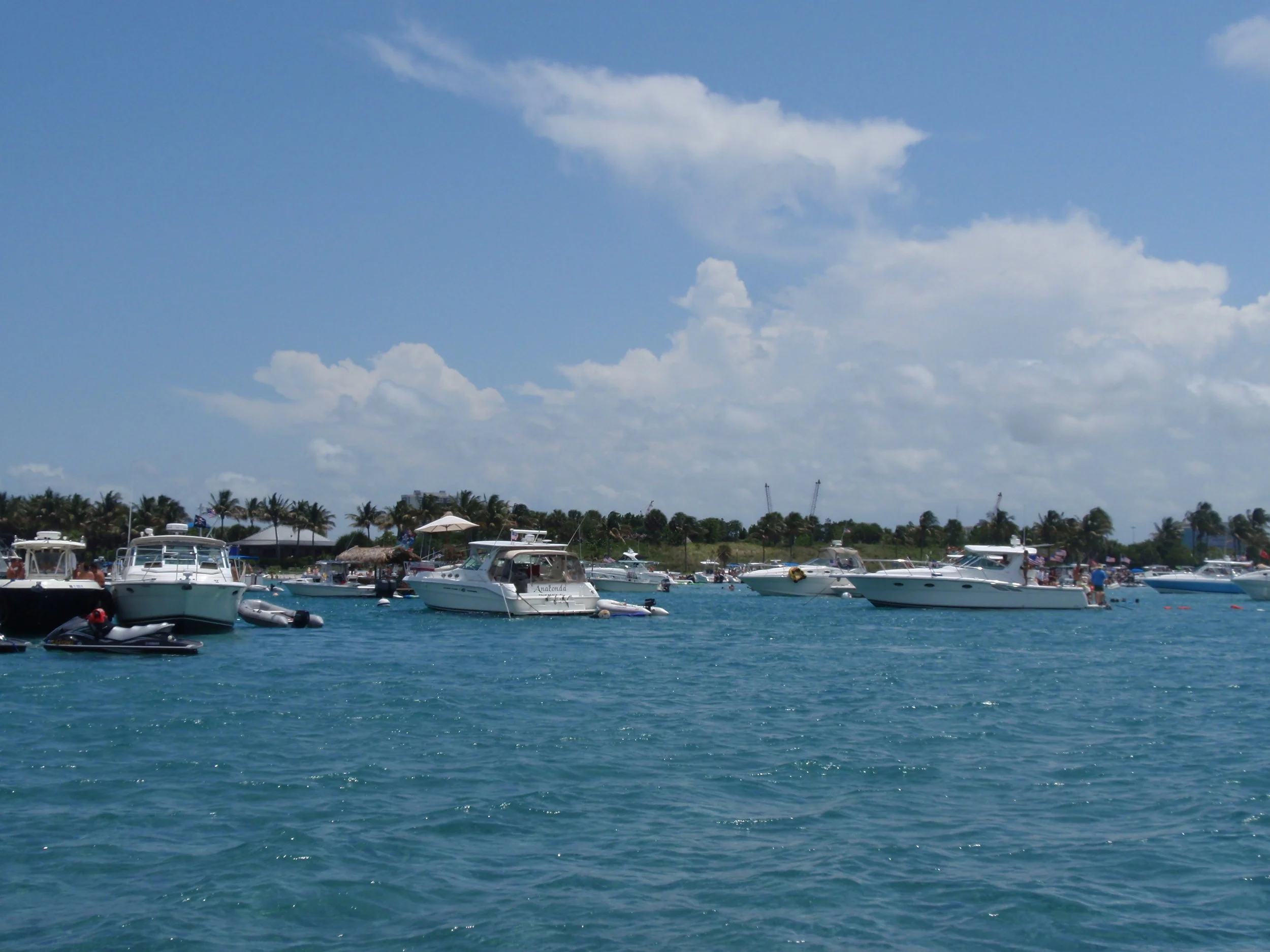 P5284356.JPG