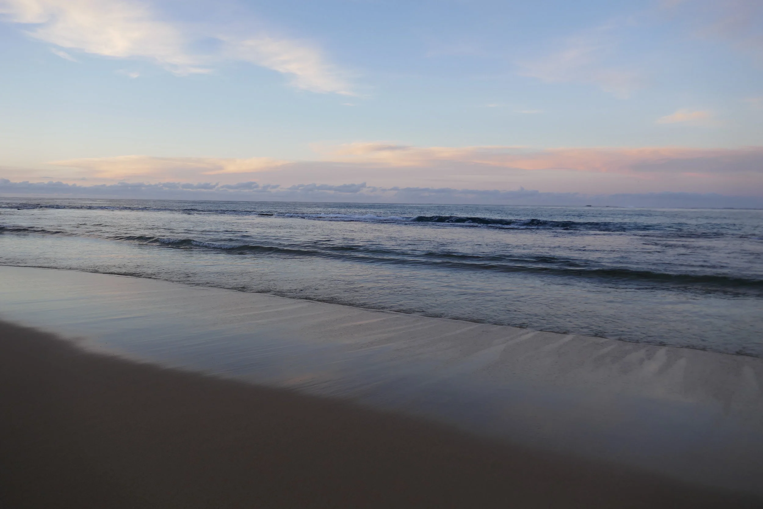 P1000717.JPG