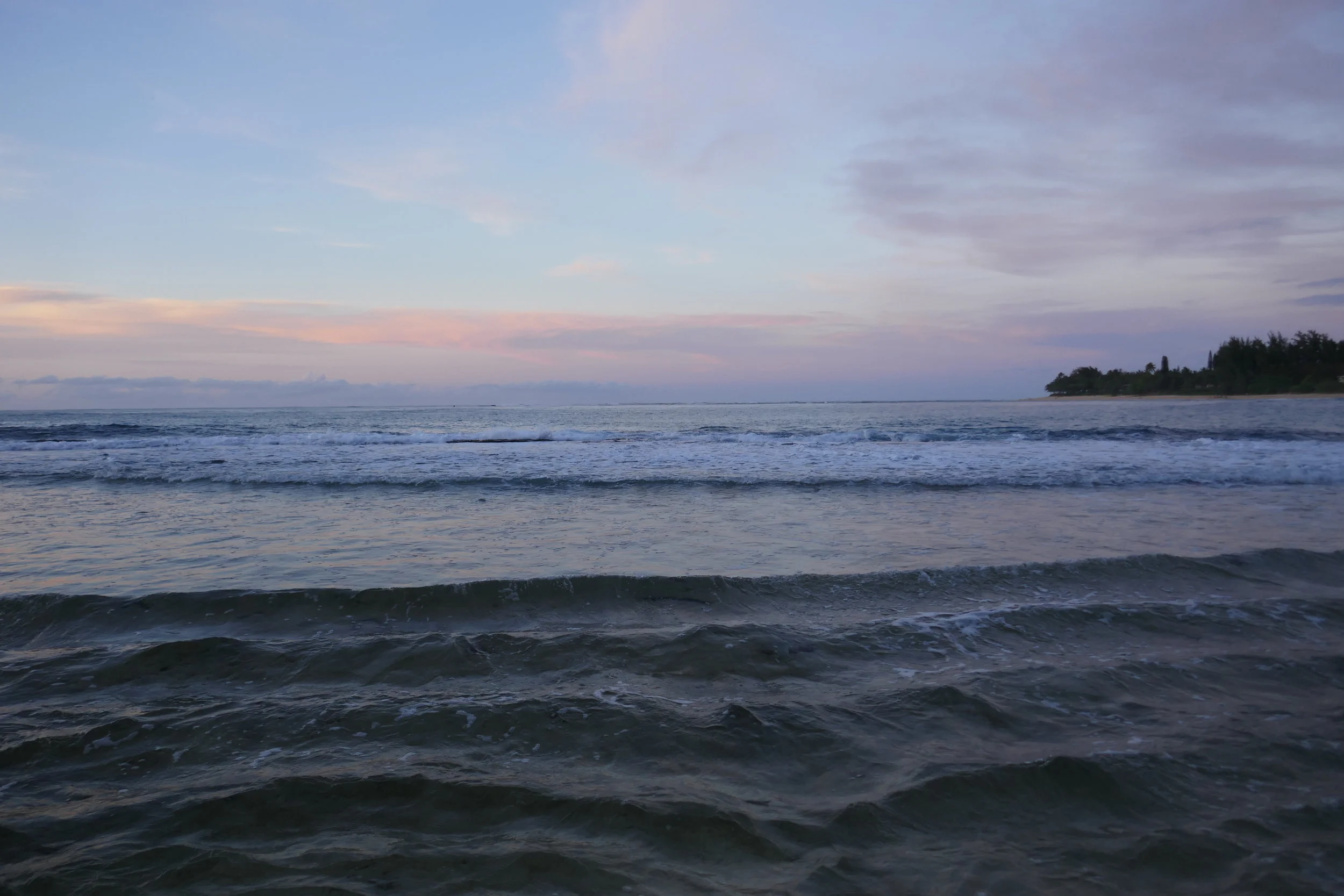P1000721.JPG